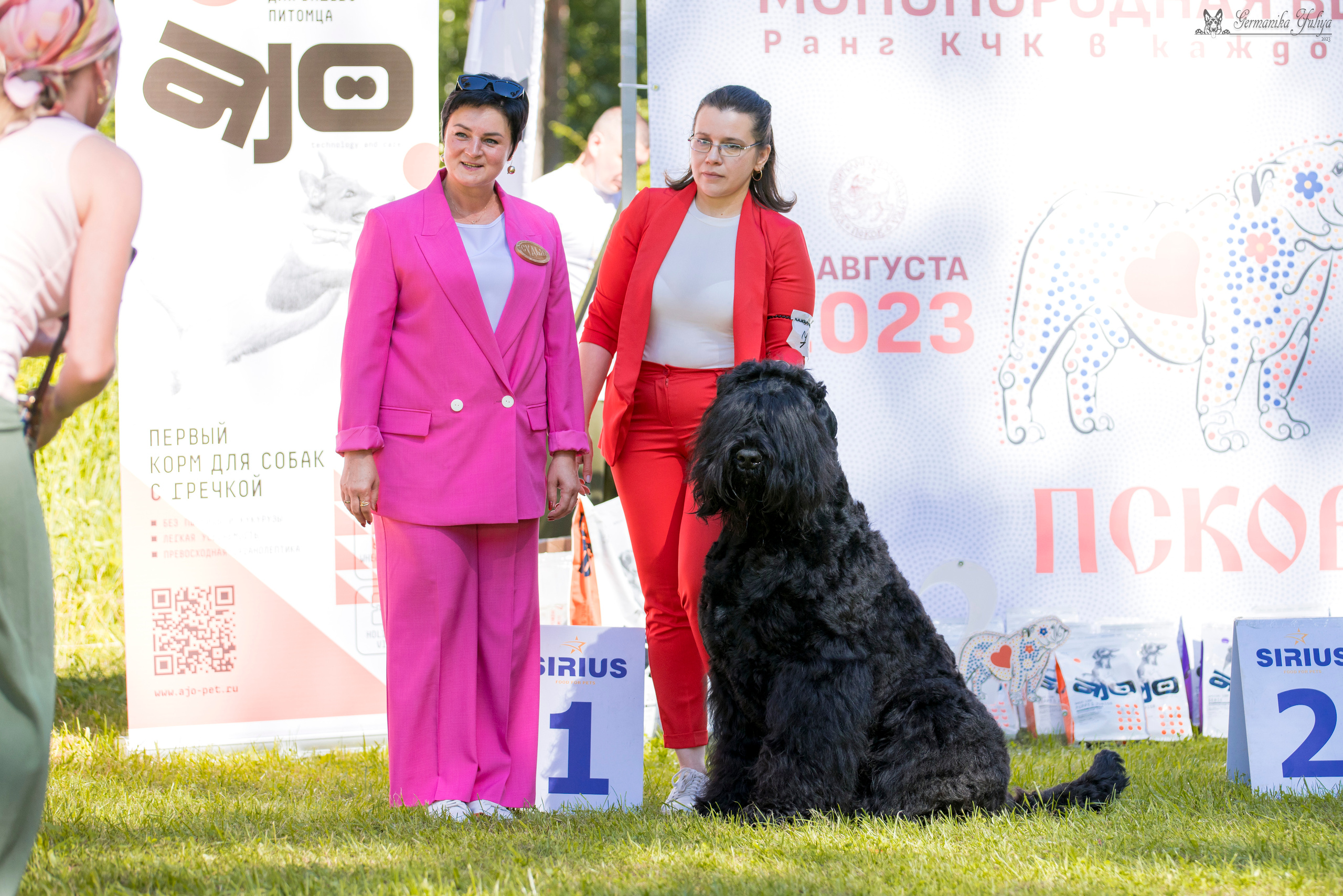 Крокус,Псков 5-6.08.2023. Фотограф-анималист Юлия Германика