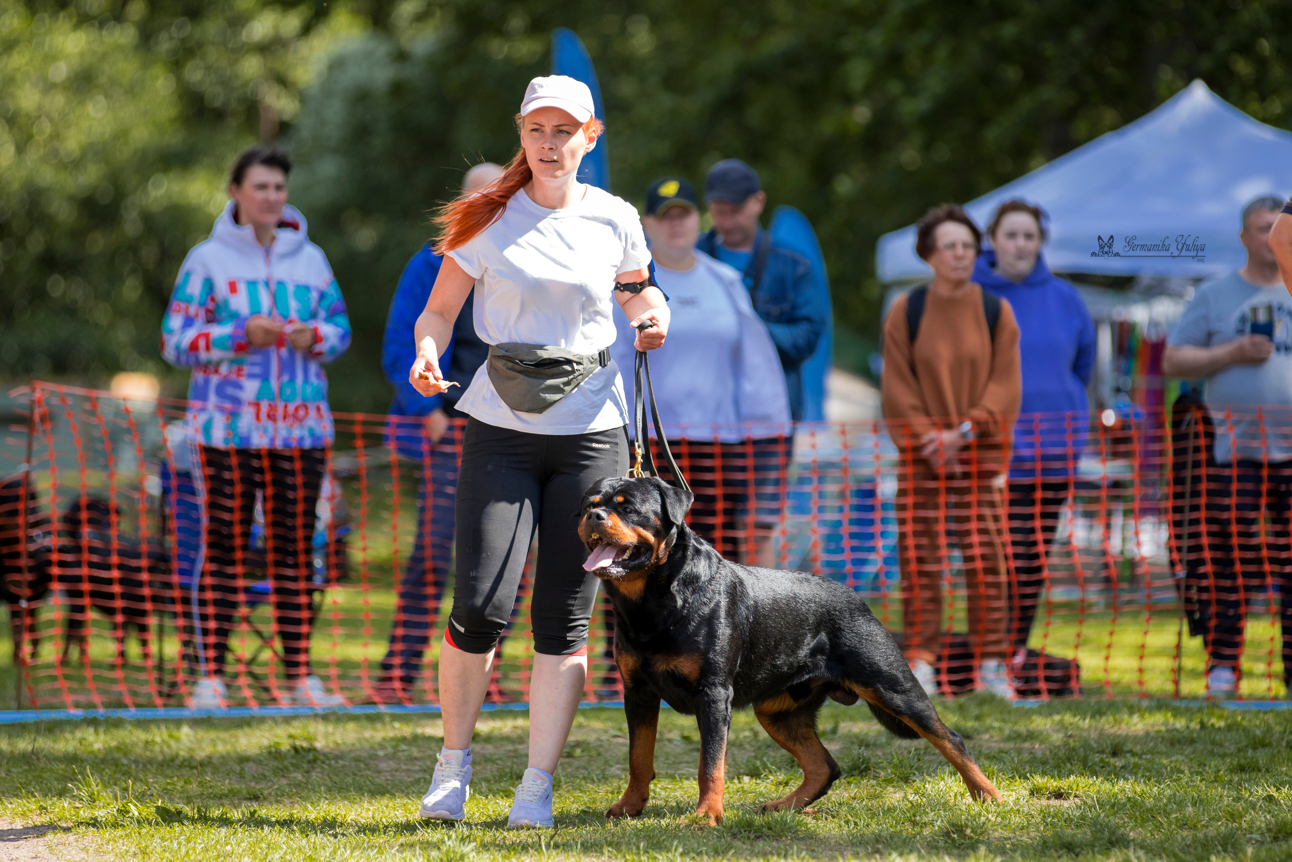 ПК и КЧК ротвейлеров Питер 22-23.07.2023. Фотограф-анималист Юлия Германика