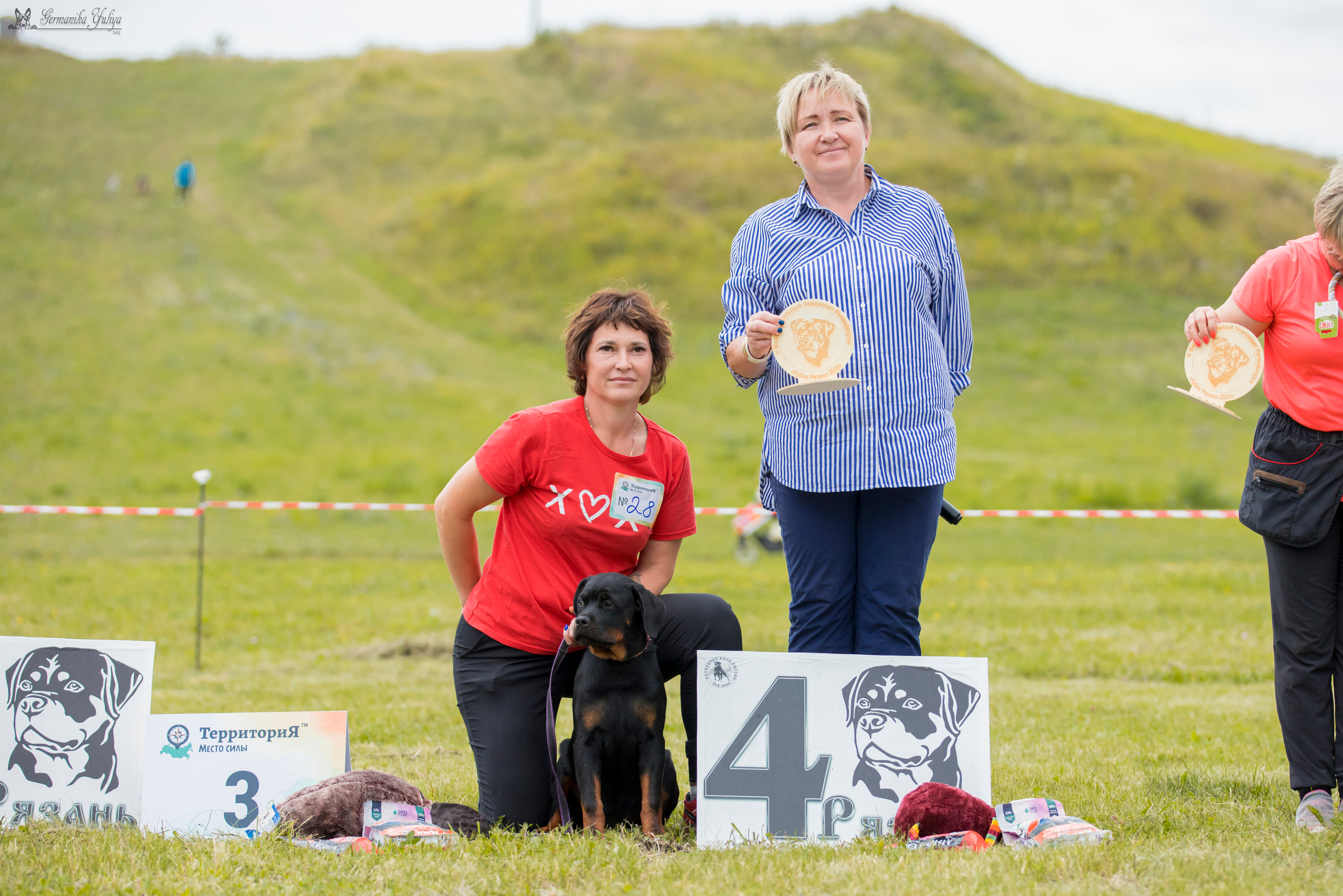 Рязань моно ротвейлеров 12.08.2023. Фотограф-анималист Юлия Германика