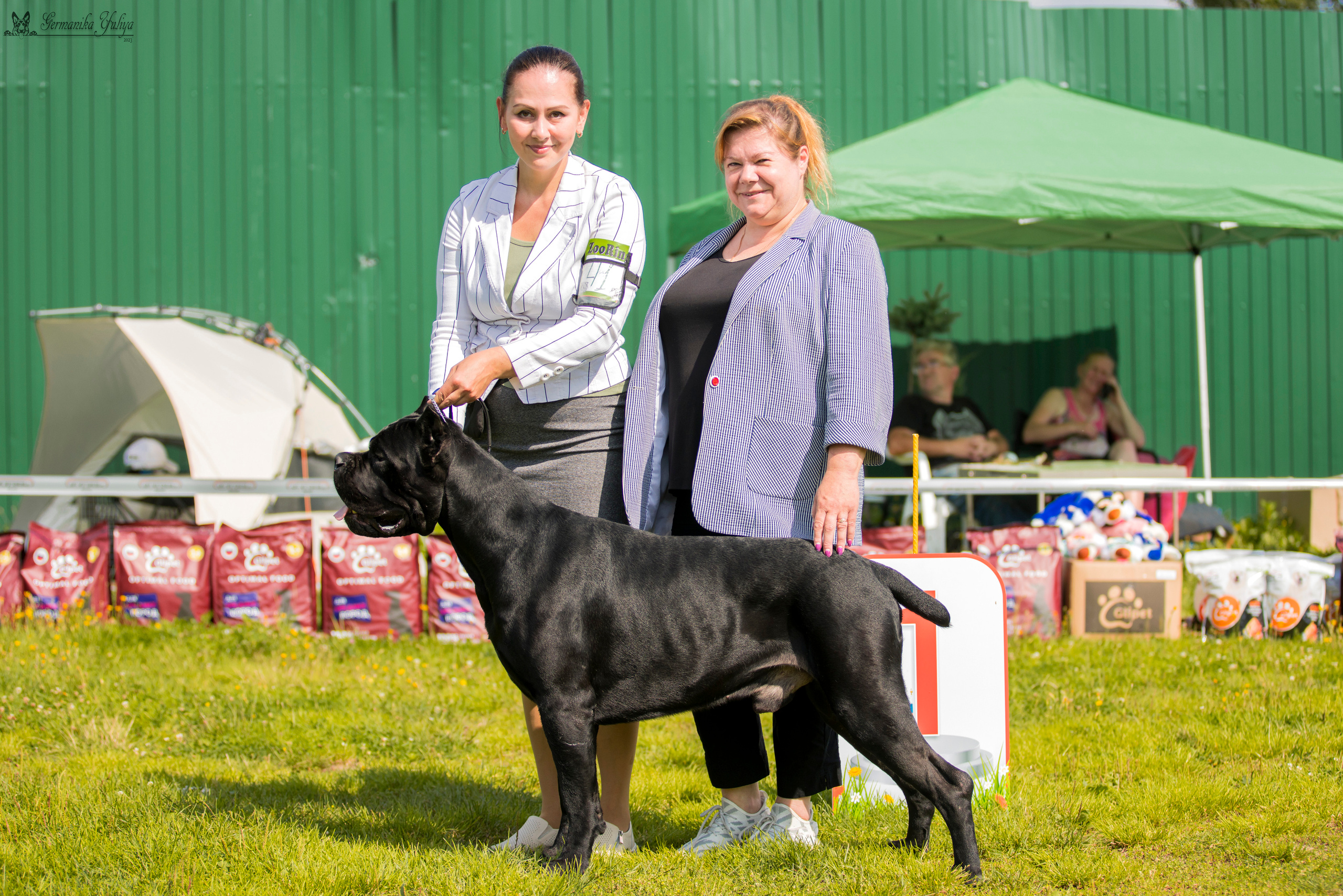 Рязань 12.08.и Пушкино 19.08.2023. Фотограф-анималист Юлия Германика