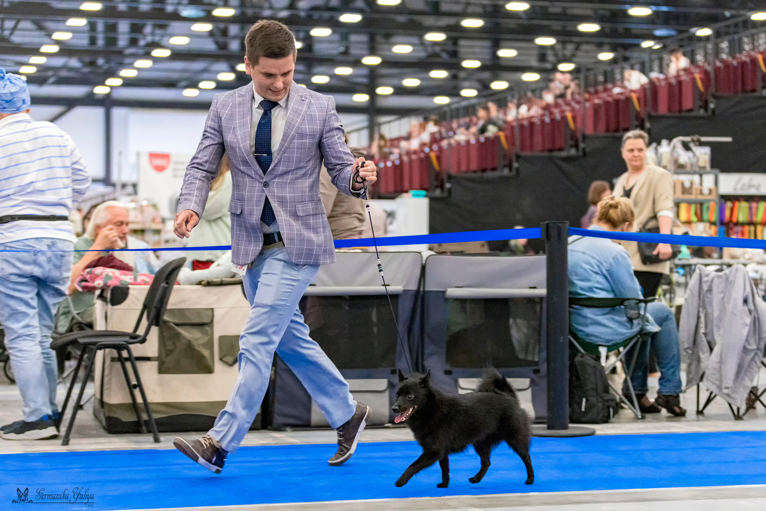 Питер 2-3.09.2023. Фотограф-анималист Юлия Германика