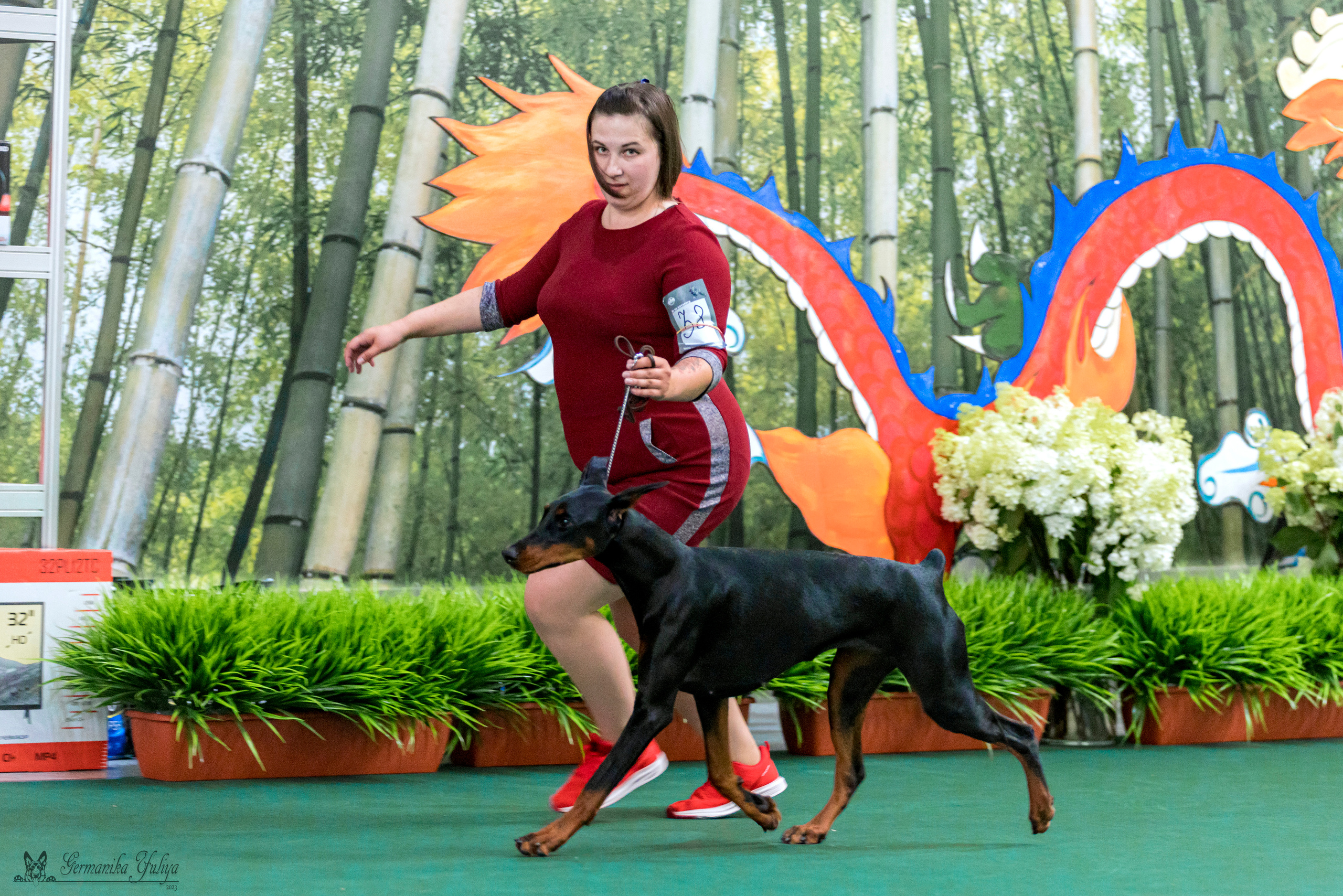 Крокус,Псков 5-6.08.2023. Фотограф-анималист Юлия Германика