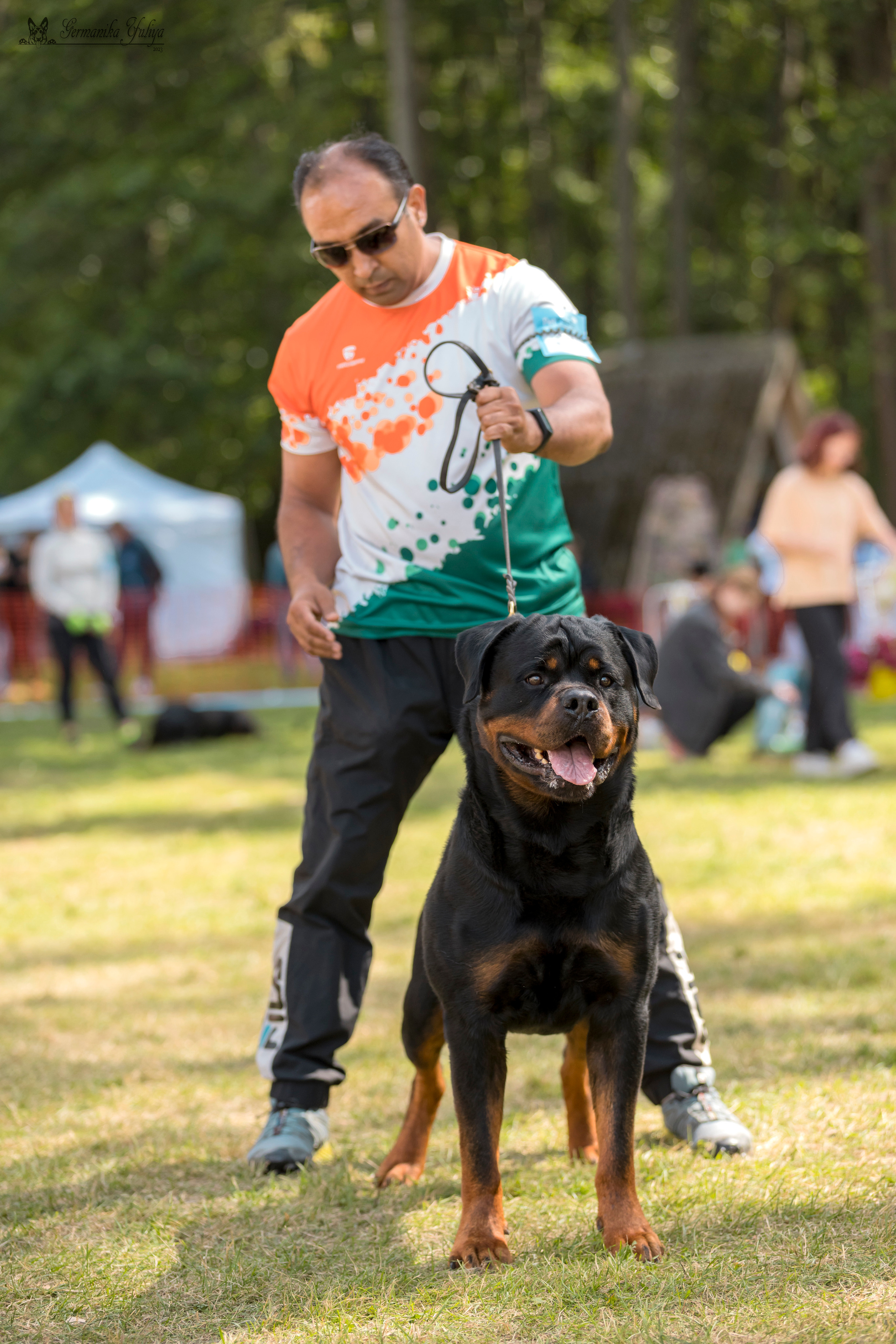 ПК и КЧК ротвейлеров Питер 22-23.07.2023. Фотограф-анималист Юлия Германика