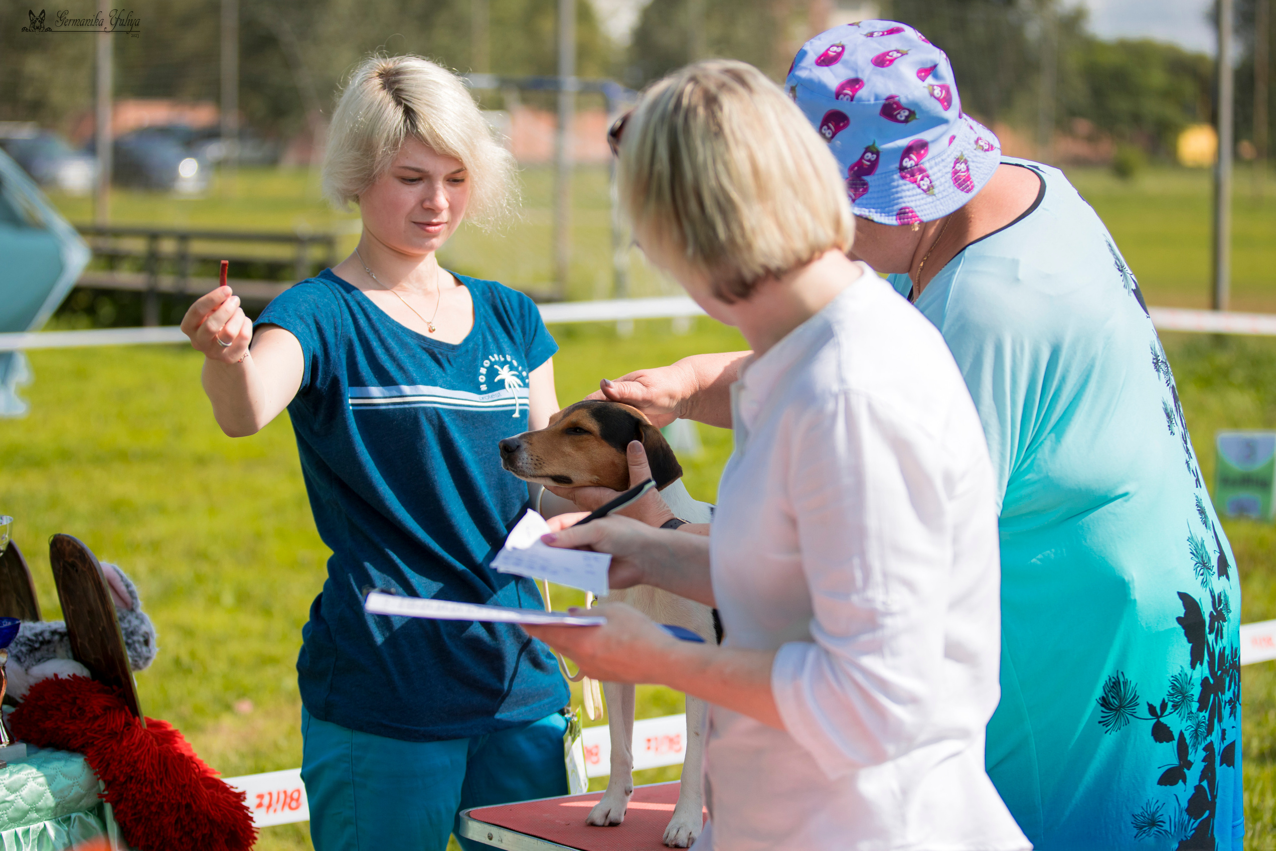 Рязань 12.08.и Пушкино 19.08.2023. Фотограф-анималист Юлия Германика