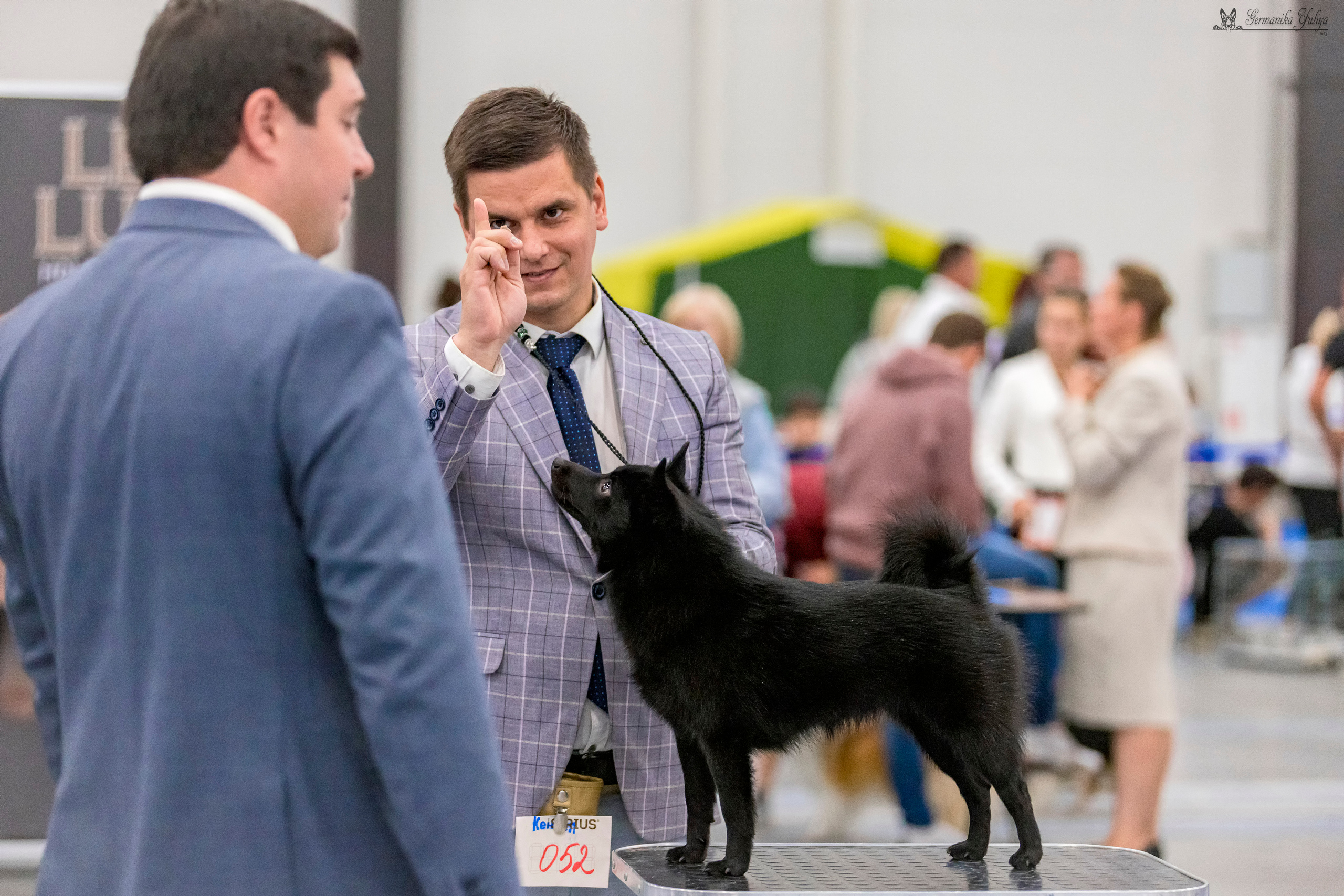 Питер 2-3.09.2023. Фотограф-анималист Юлия Германика