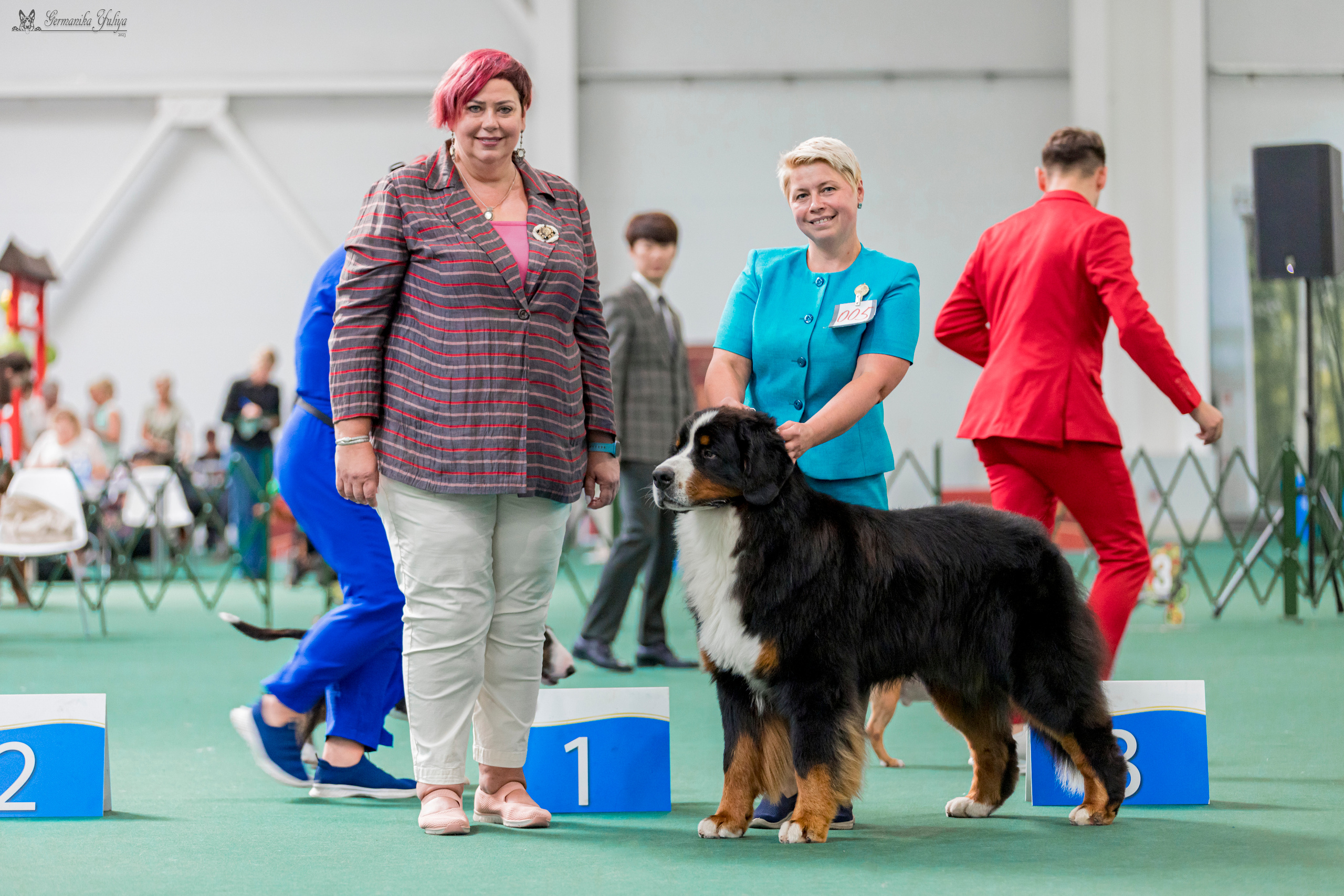 Крокус,Псков 5-6.08.2023. Фотограф-анималист Юлия Германика