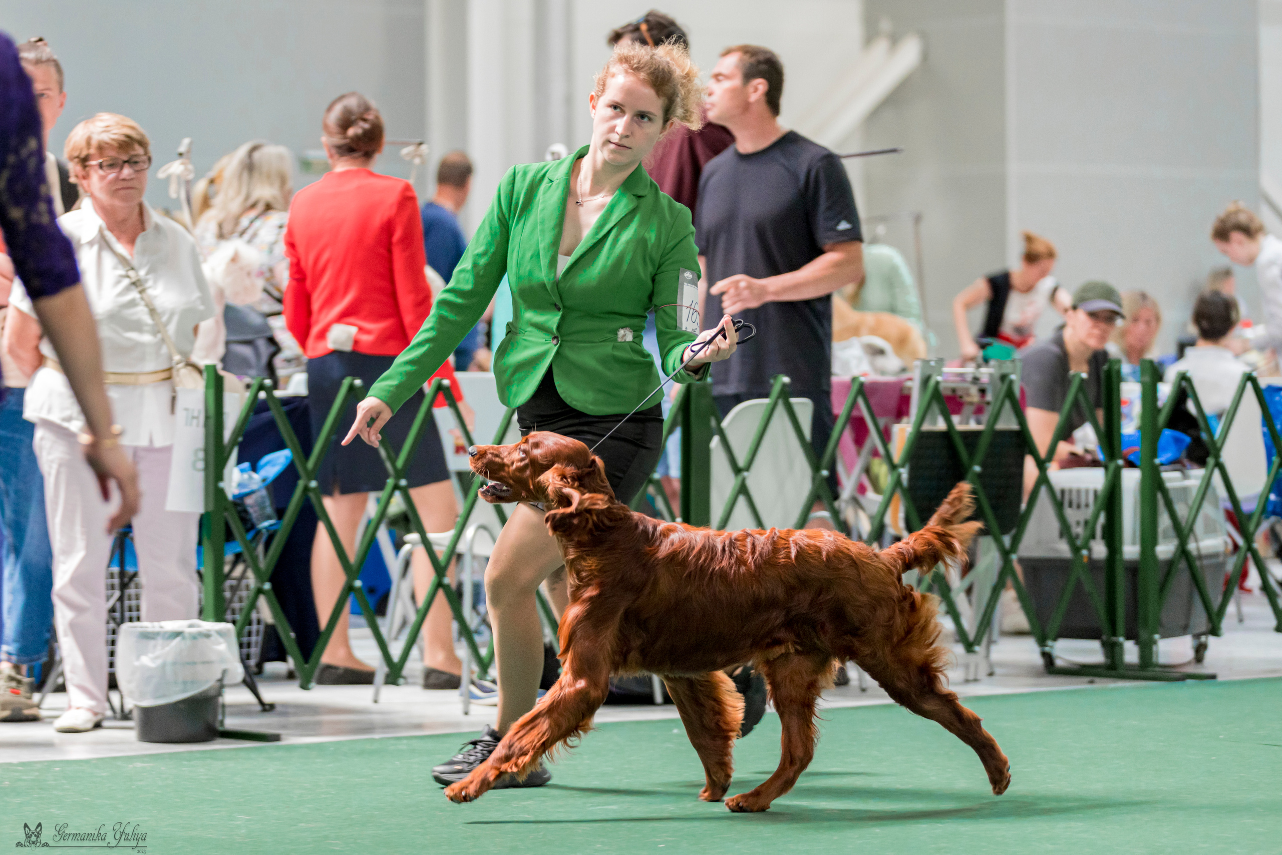 Крокус,Псков 5-6.08.2023. Фотограф-анималист Юлия Германика