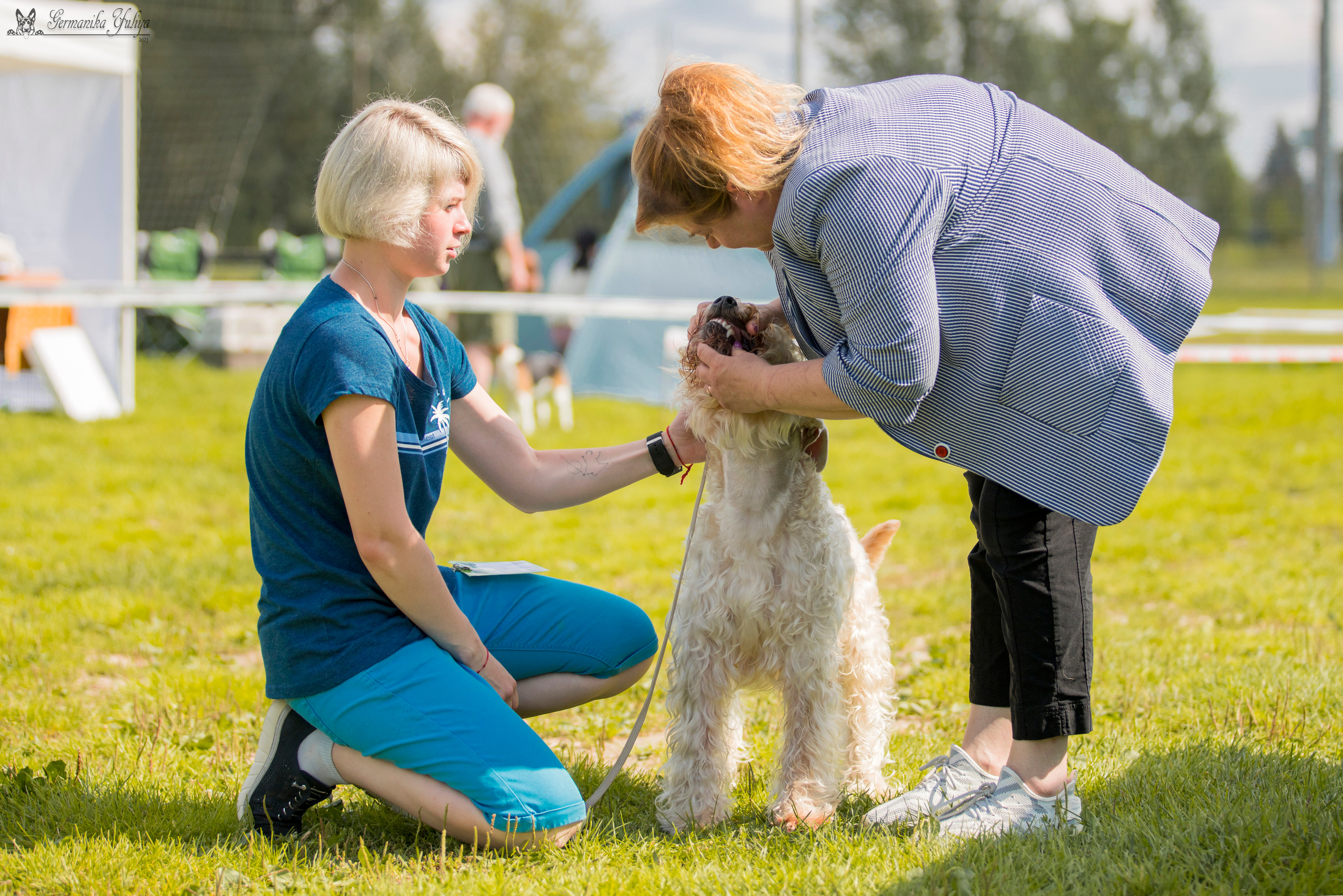 Рязань 12.08.и Пушкино 19.08.2023. Фотограф-анималист Юлия Германика