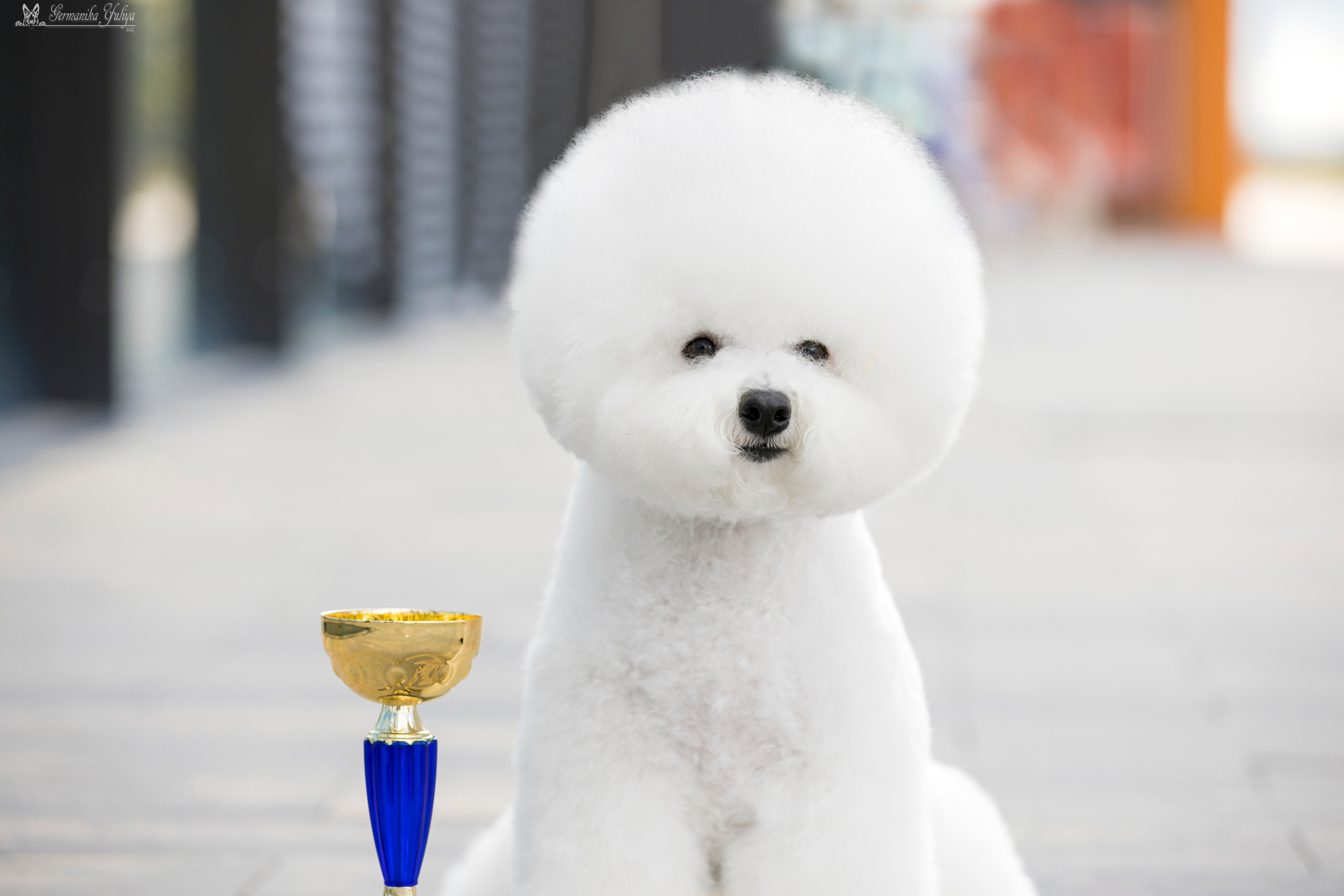 Питер 2-3.09.2023. Фотограф-анималист Юлия Германика