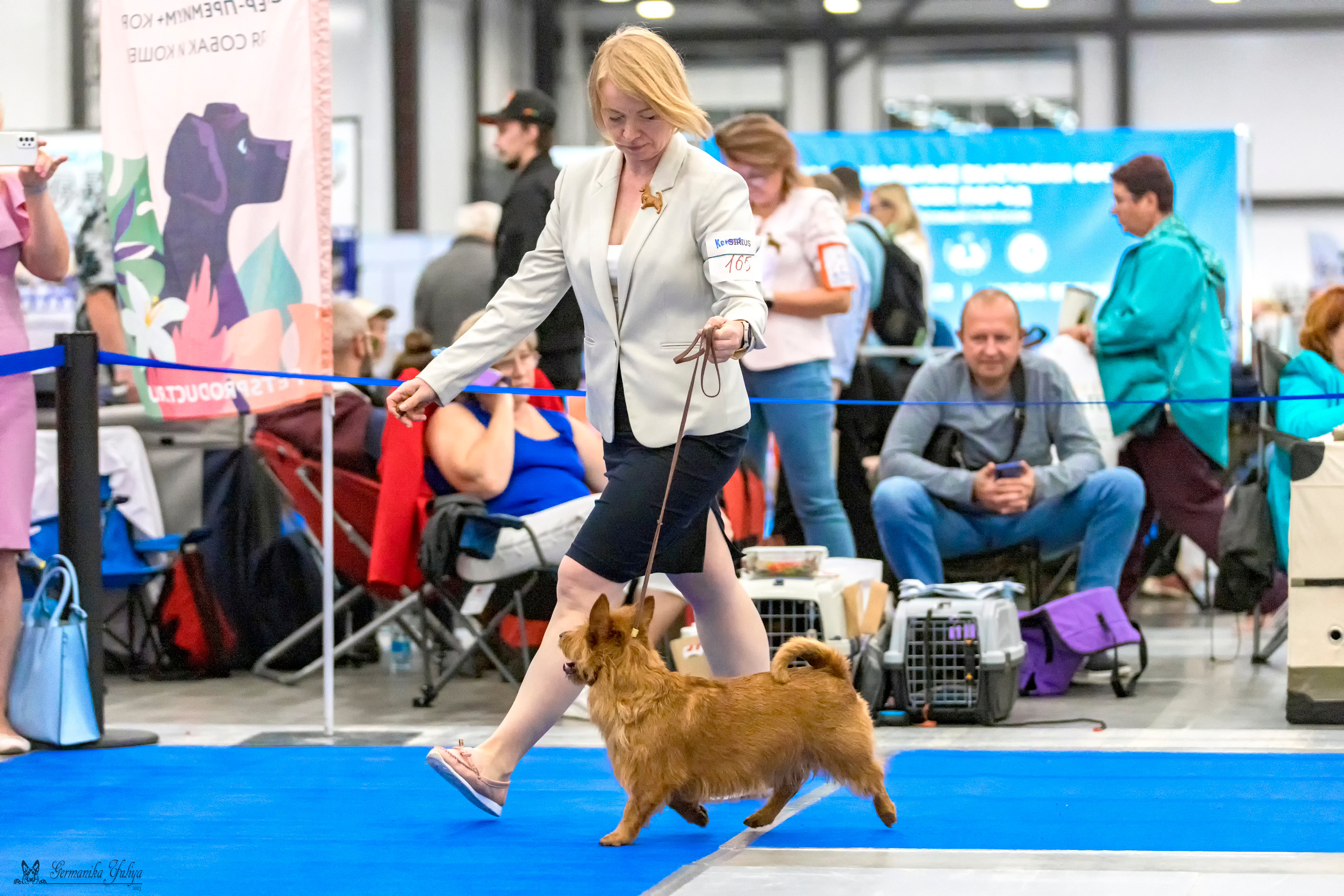 Питер 2-3.09.2023. Фотограф-анималист Юлия Германика