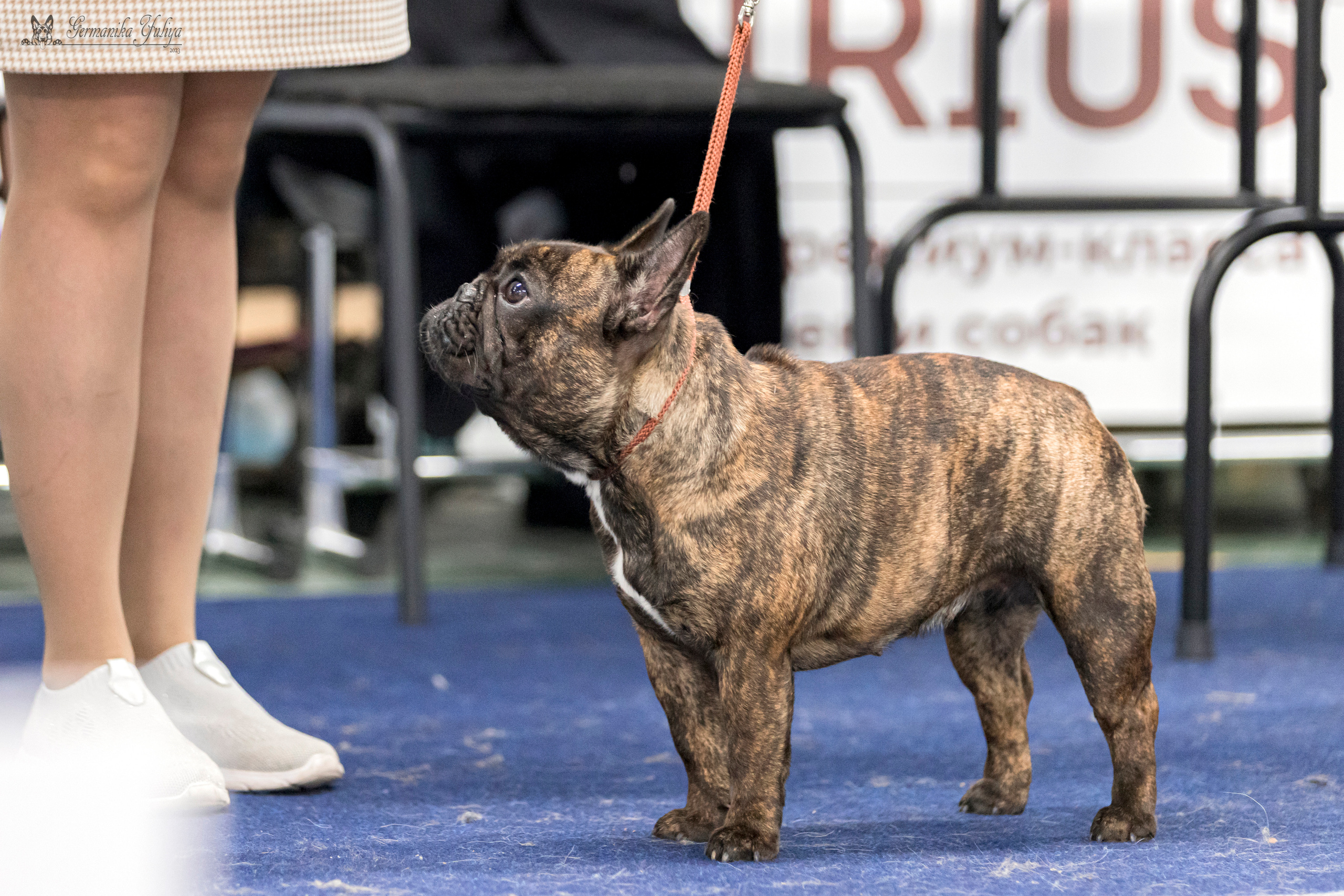 Сфера-Ховрино 29-30.07.2023. Фотограф-анималист Юлия Германика
