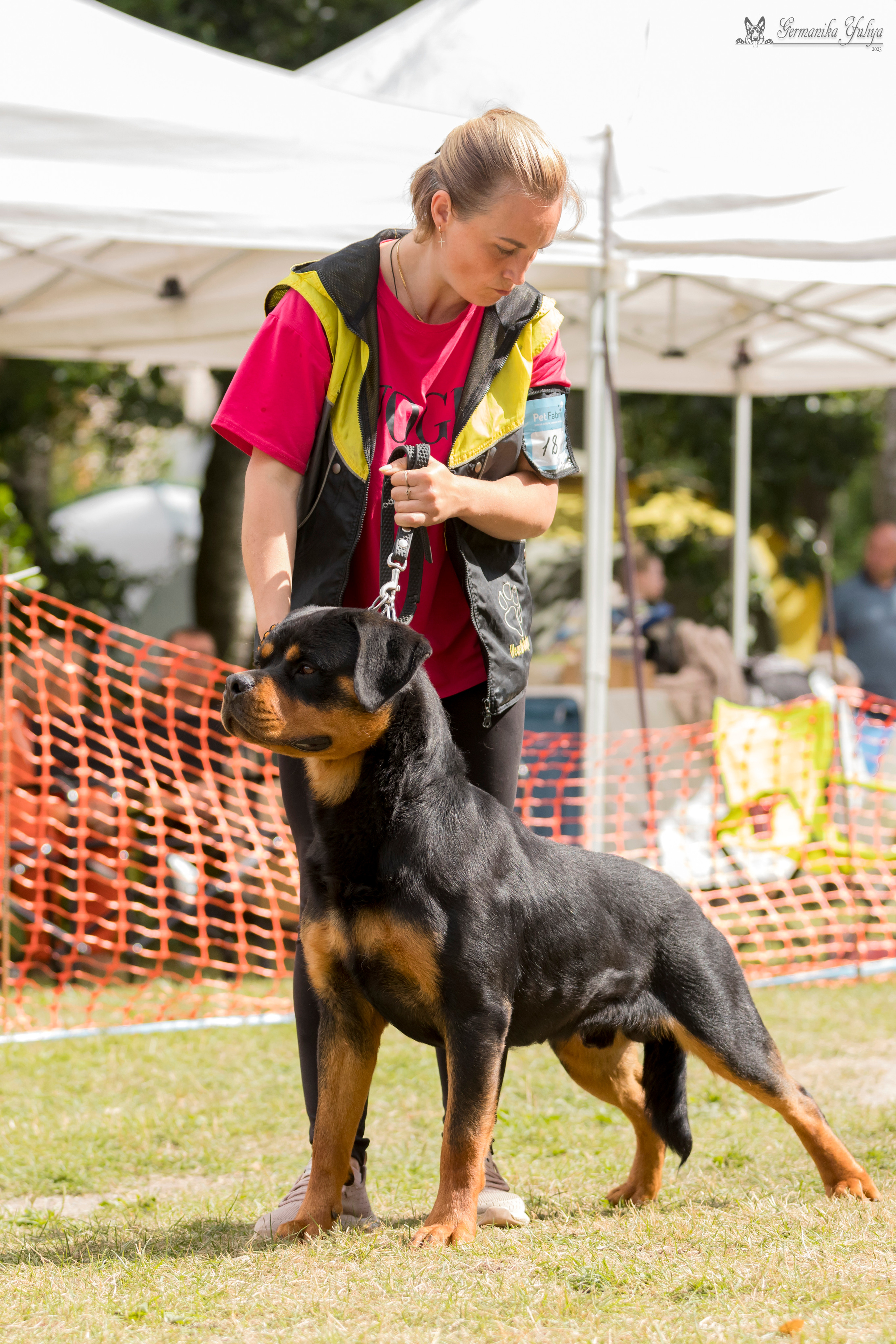 ПК и КЧК ротвейлеров Питер 22-23.07.2023. Фотограф-анималист Юлия Германика