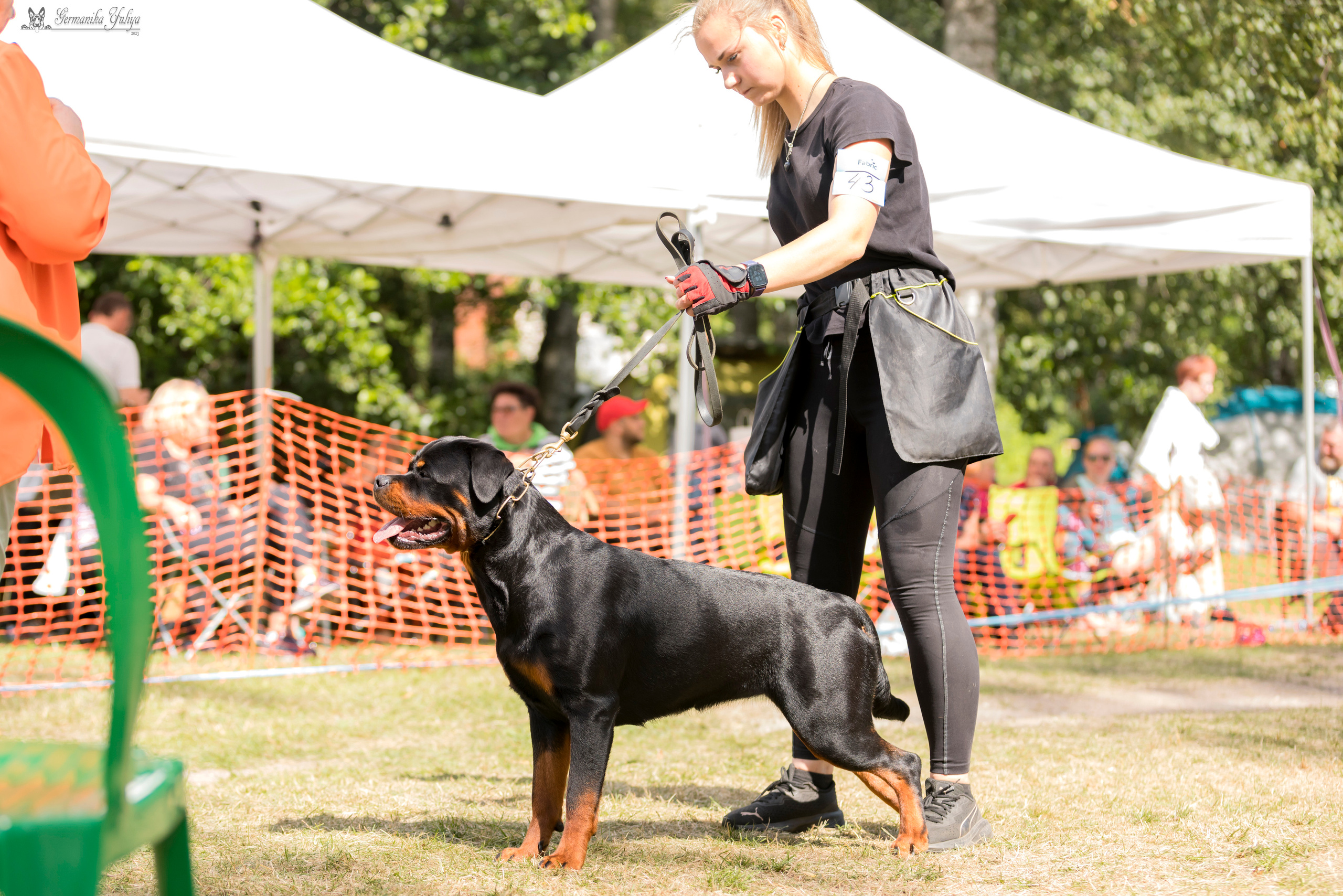 ПК и КЧК ротвейлеров Питер 22-23.07.2023. Фотограф-анималист Юлия Германика