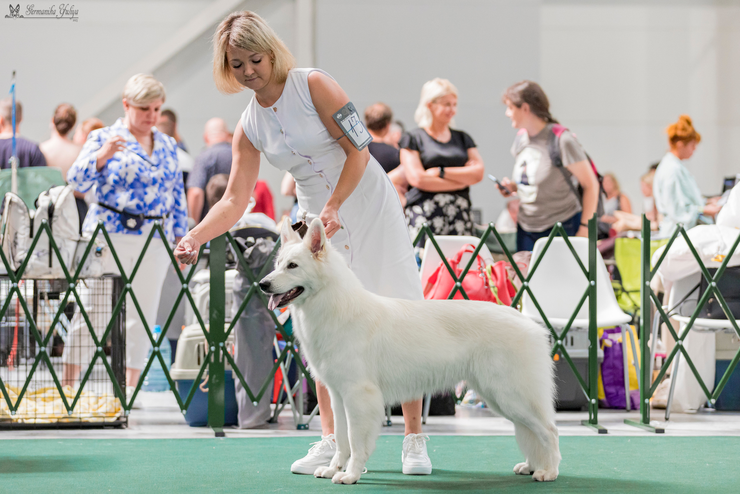 Крокус,Псков 5-6.08.2023. Фотограф-анималист Юлия Германика