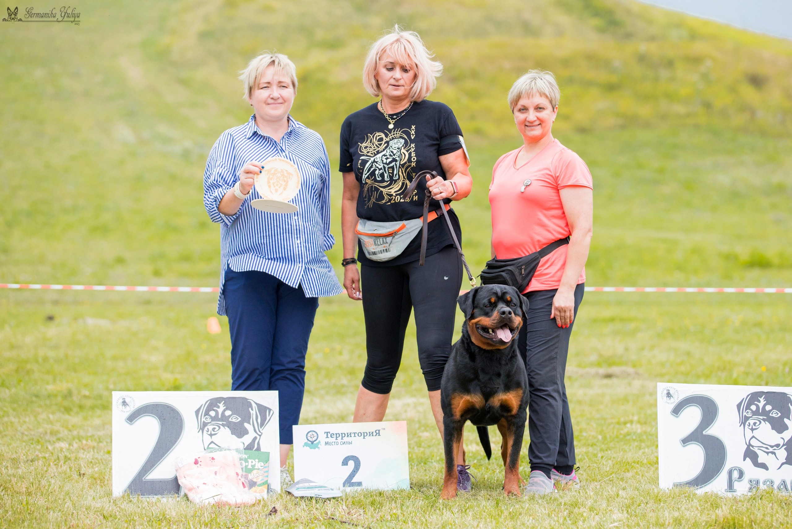 Рязань моно ротвейлеров 12.08.2023. Фотограф-анималист Юлия Германика