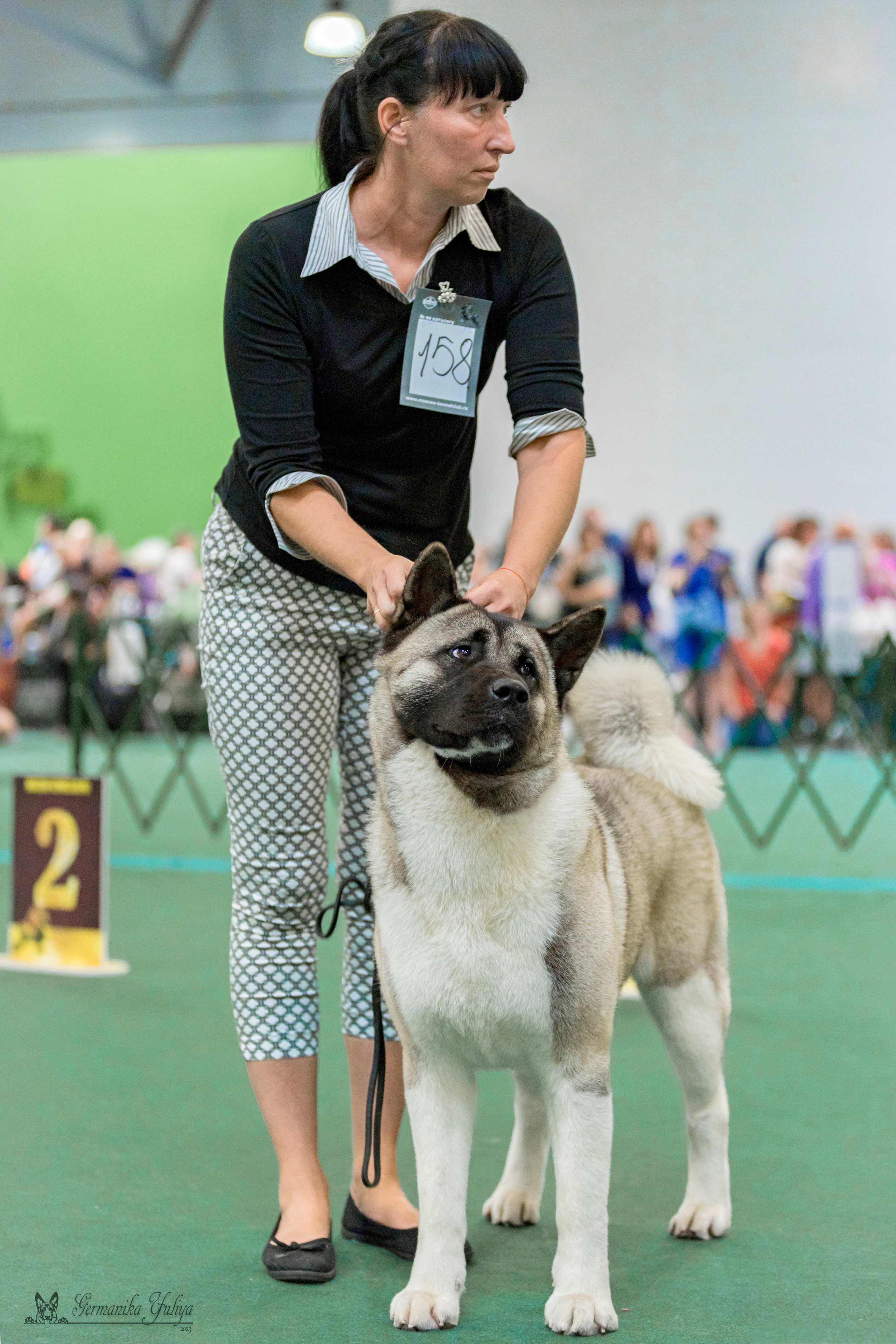 Крокус,Псков 5-6.08.2023. Фотограф-анималист Юлия Германика