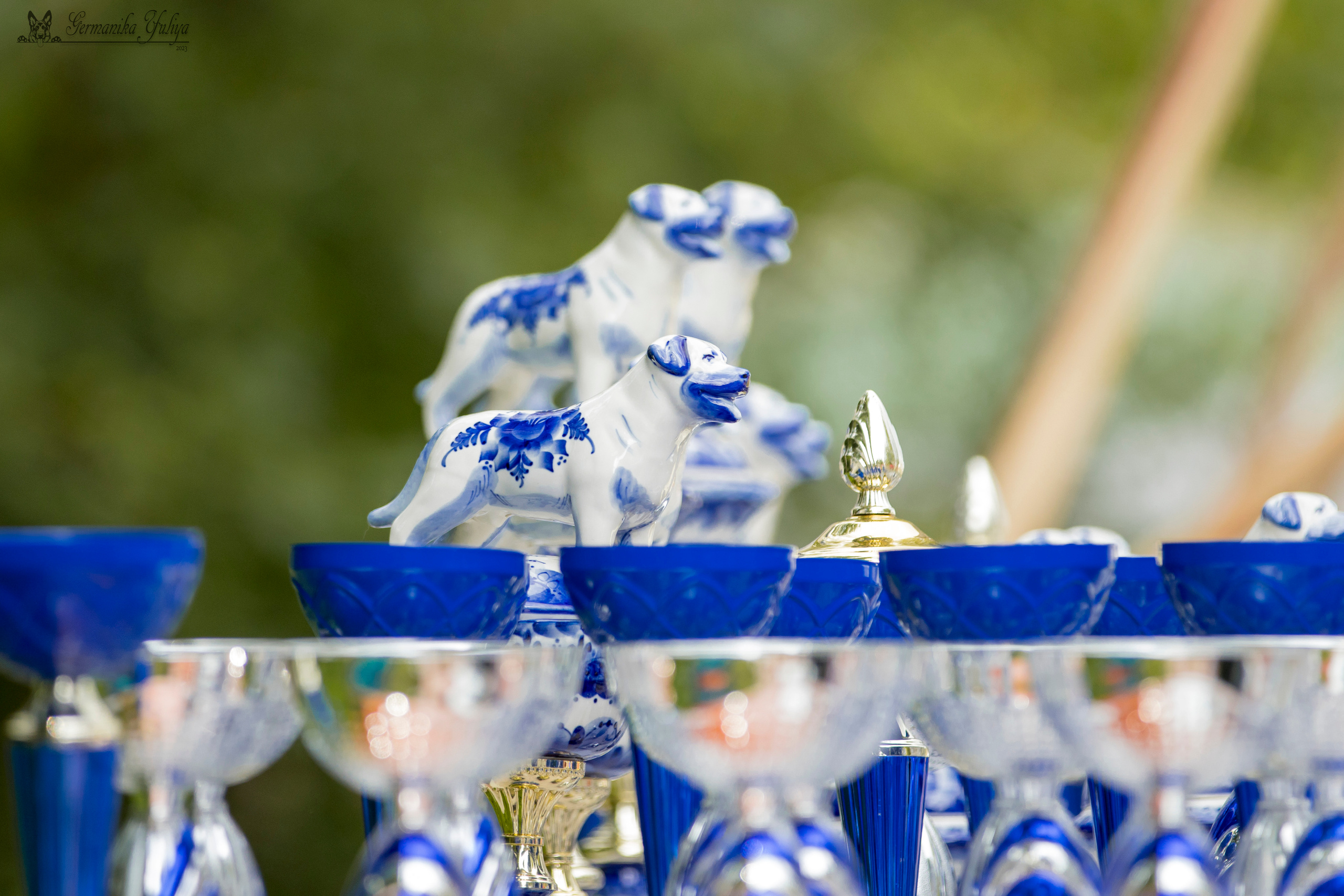 ПК и КЧК ротвейлеров Питер 22-23.07.2023. Фотограф-анималист Юлия Германика