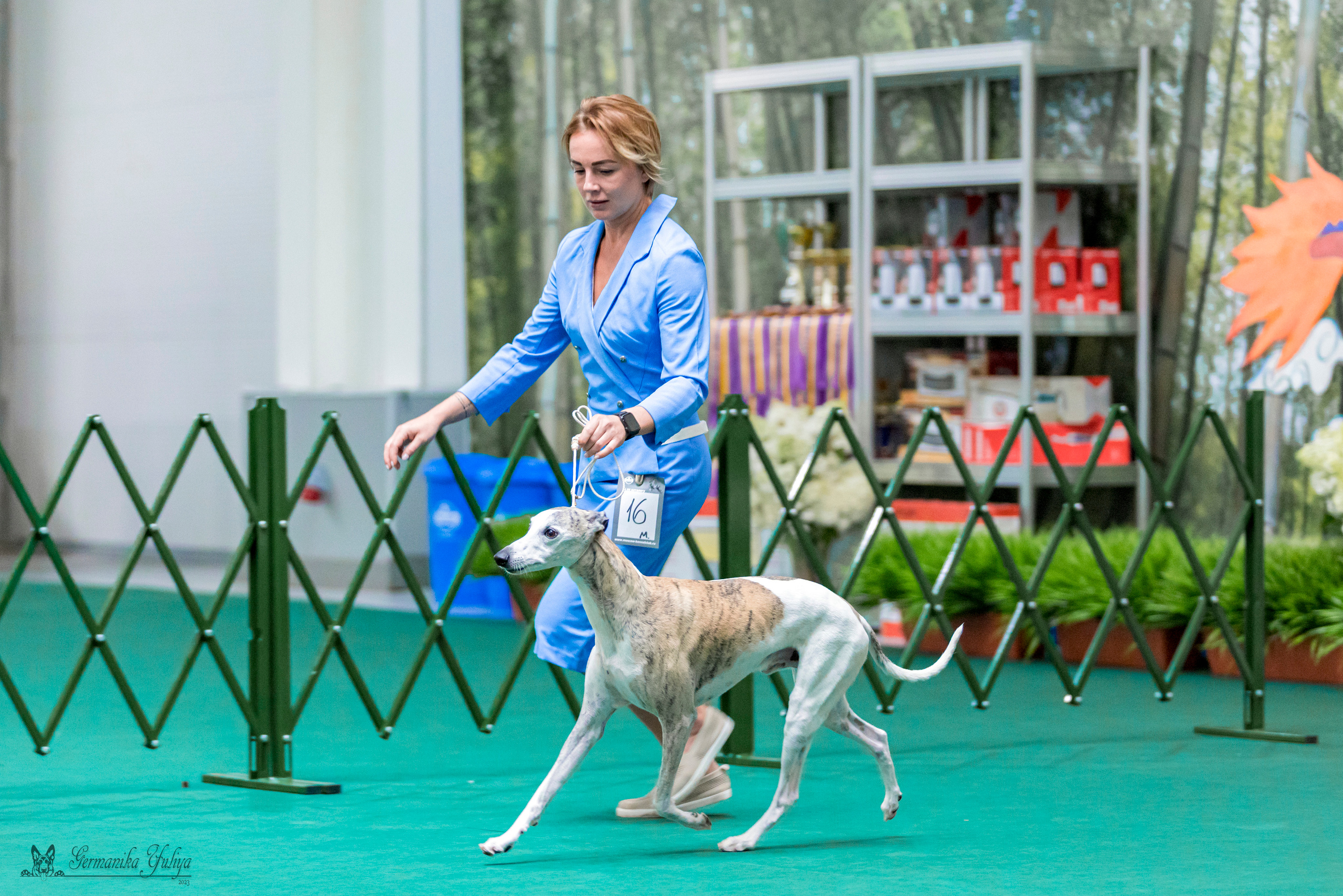 Крокус,Псков 5-6.08.2023. Фотограф-анималист Юлия Германика