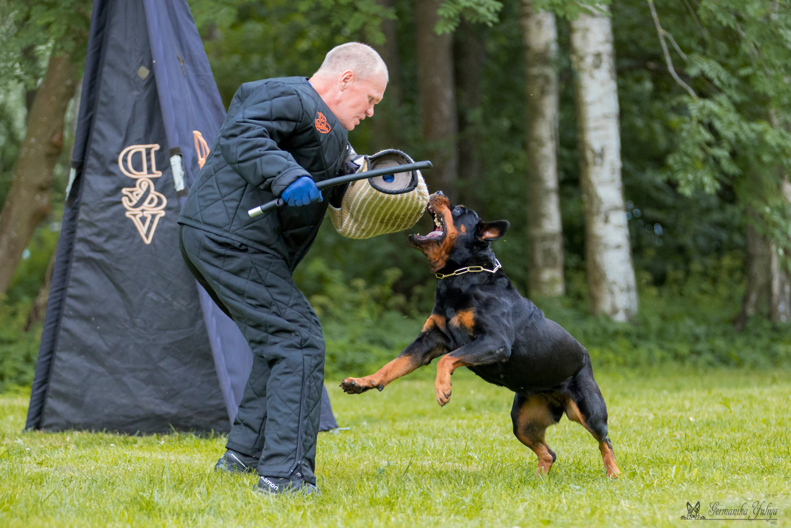ПК и КЧК ротвейлеров Питер 22-23.07.2023. Фотограф-анималист Юлия Германика