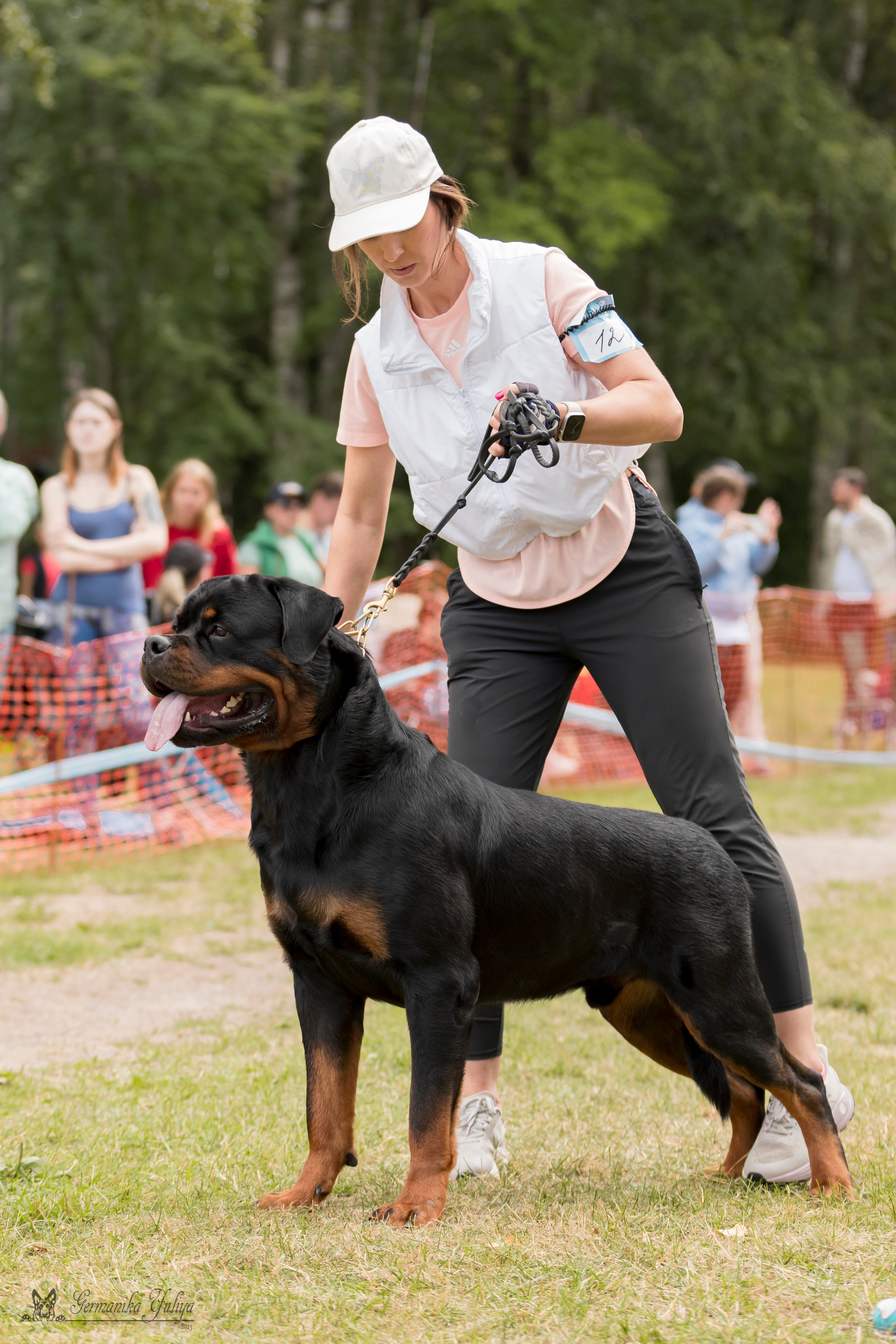 ПК и КЧК ротвейлеров Питер 22-23.07.2023. Фотограф-анималист Юлия Германика
