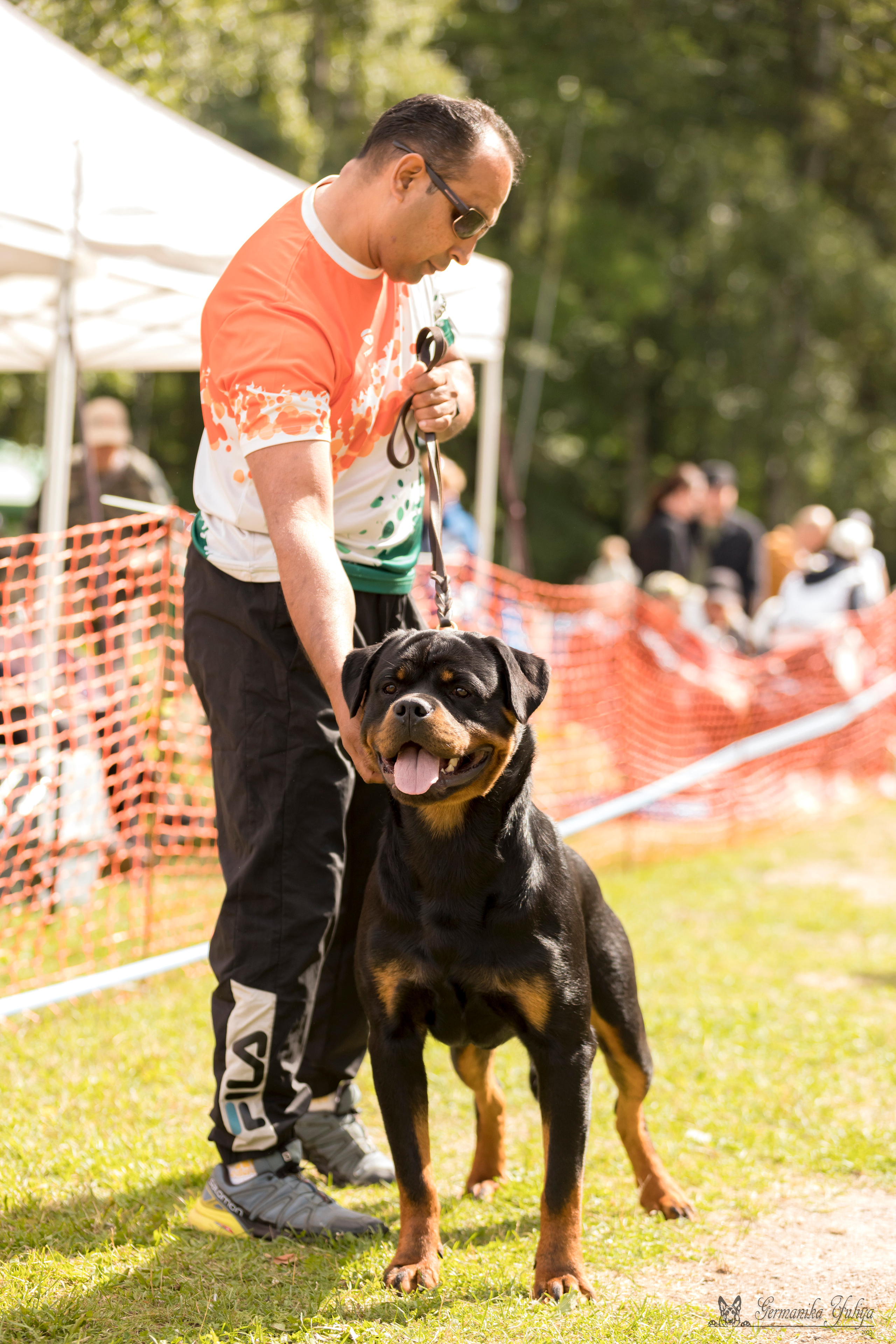 ПК и КЧК ротвейлеров Питер 22-23.07.2023. Фотограф-анималист Юлия Германика
