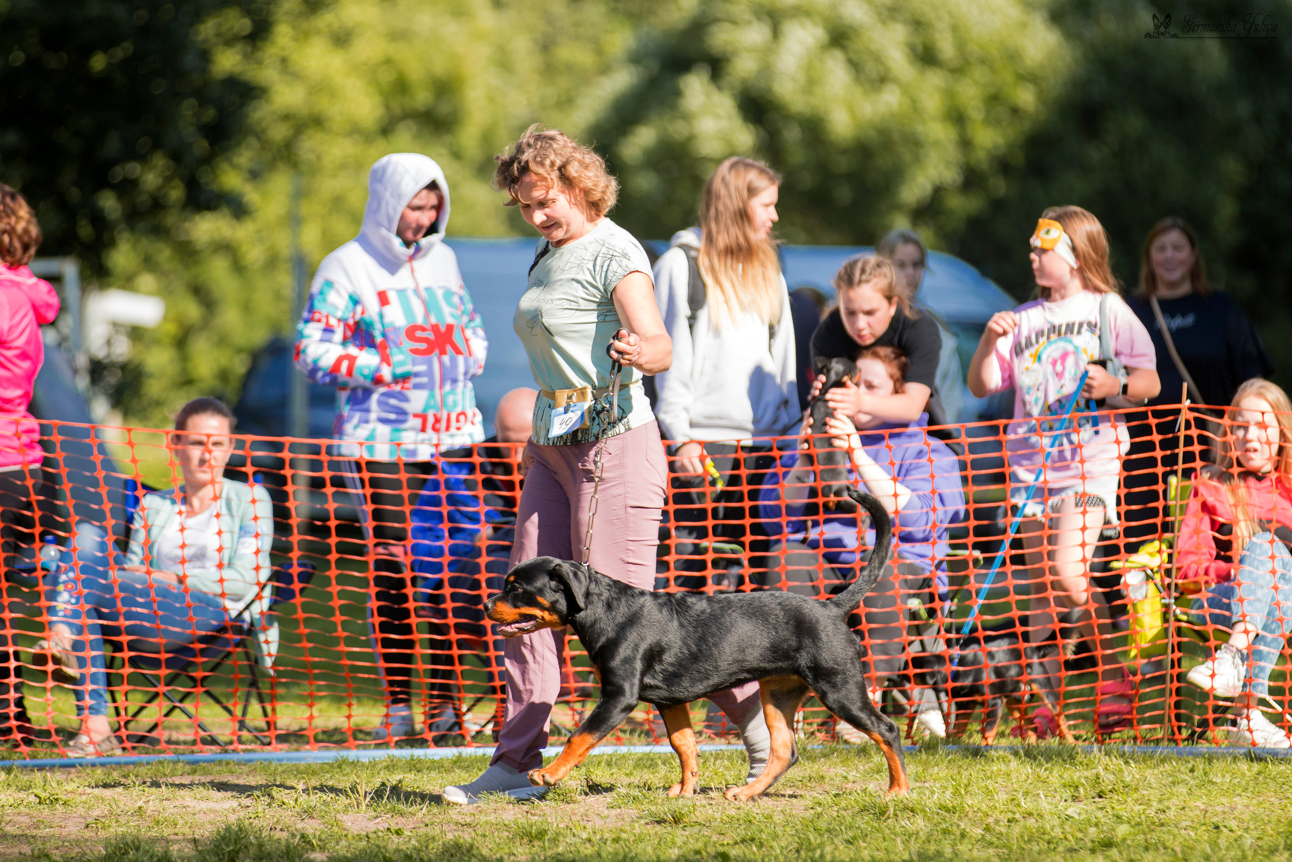 ПК и КЧК ротвейлеров Питер 22-23.07.2023. Фотограф-анималист Юлия Германика