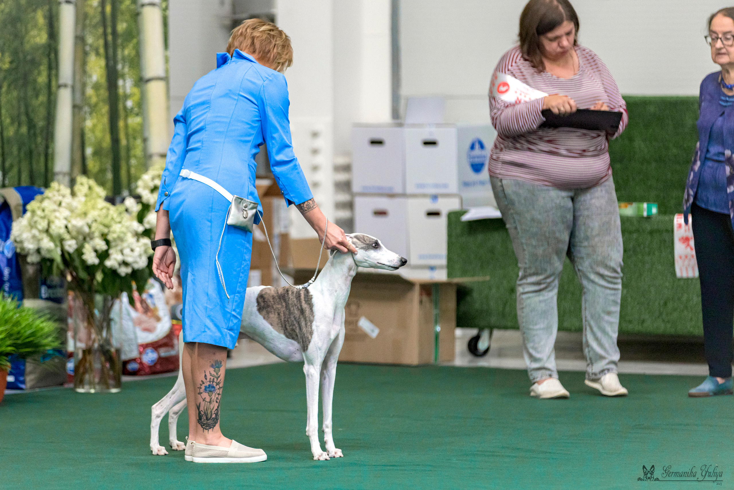 Крокус,Псков 5-6.08.2023. Фотограф-анималист Юлия Германика