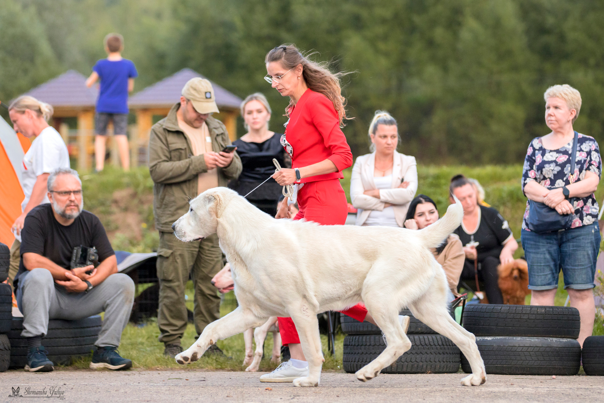 Рязань 12.08.и Пушкино 19.08.2023. Фотограф-анималист Юлия Германика