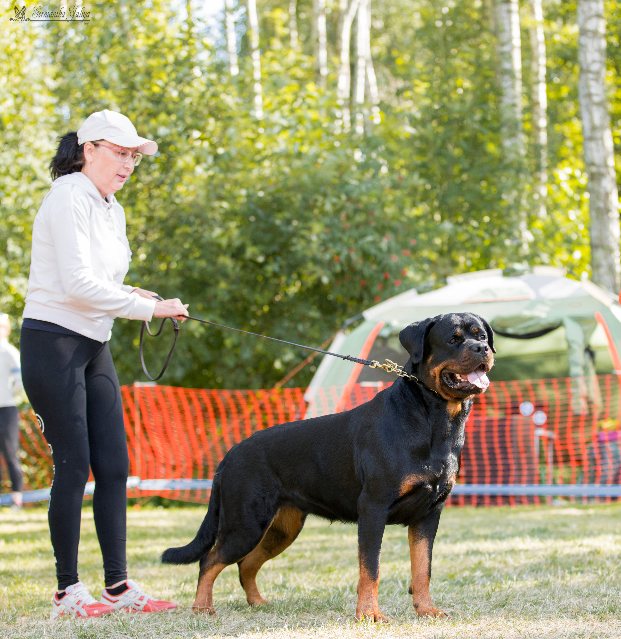 ПК и КЧК ротвейлеров Питер 22-23.07.2023. Фотограф-анималист Юлия Германика