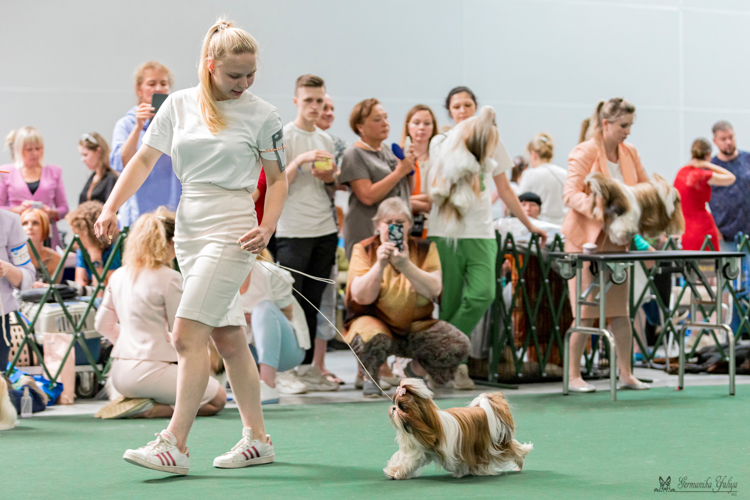 Крокус,Псков 5-6.08.2023. Фотограф-анималист Юлия Германика