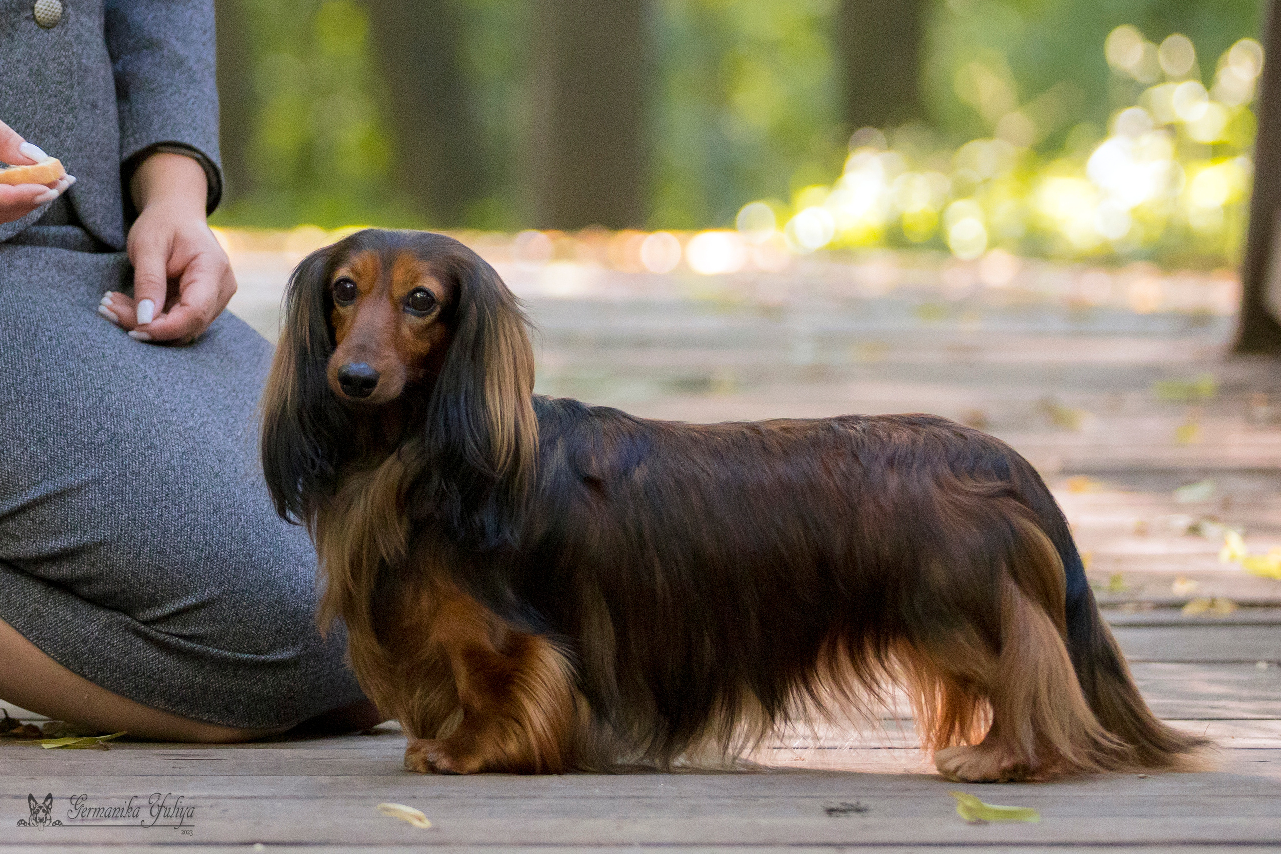 Сфера-Ховрино 29-30.07.2023. Фотограф-анималист Юлия Германика