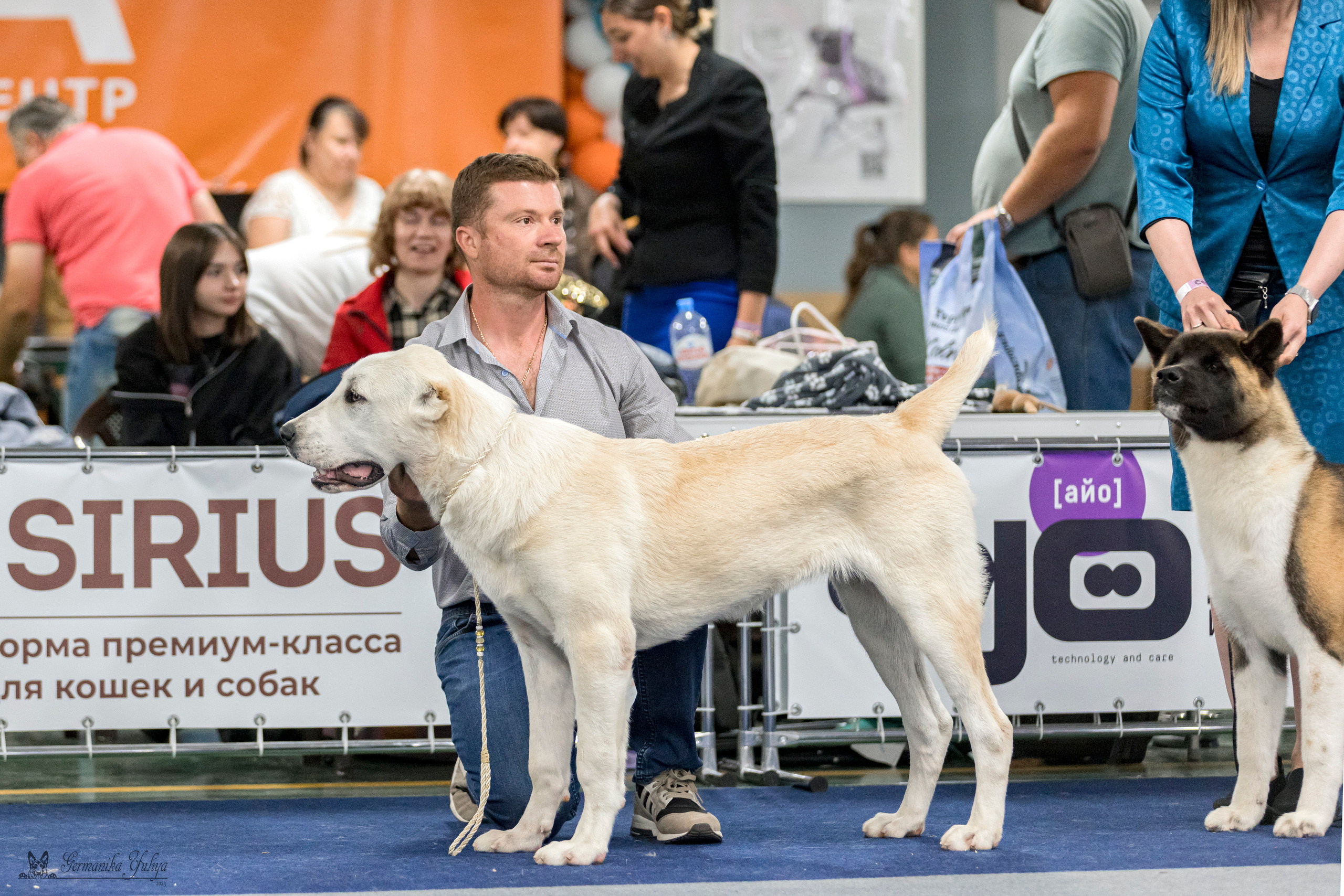 Сфера-Ховрино 29-30.07.2023. Фотограф-анималист Юлия Германика