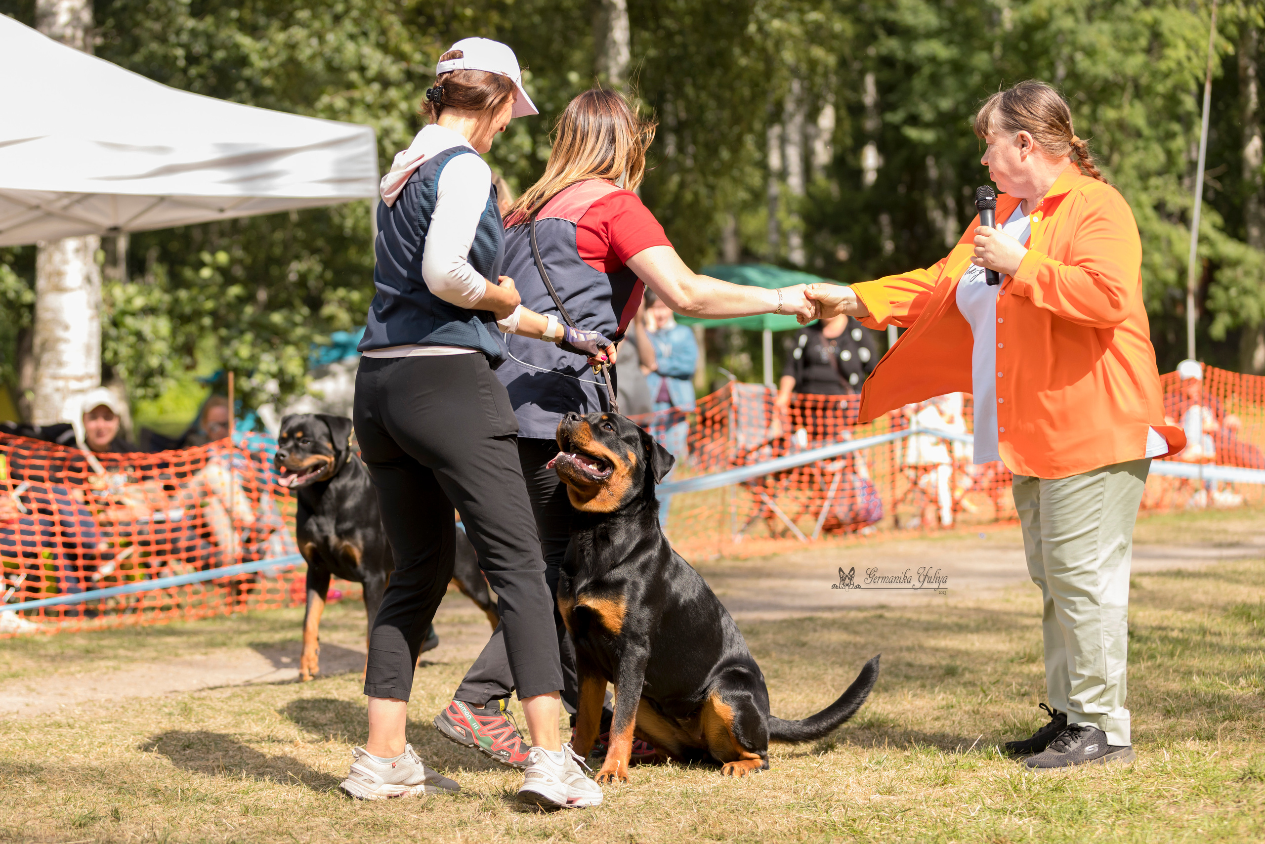 ПК и КЧК ротвейлеров Питер 22-23.07.2023. Фотограф-анималист Юлия Германика