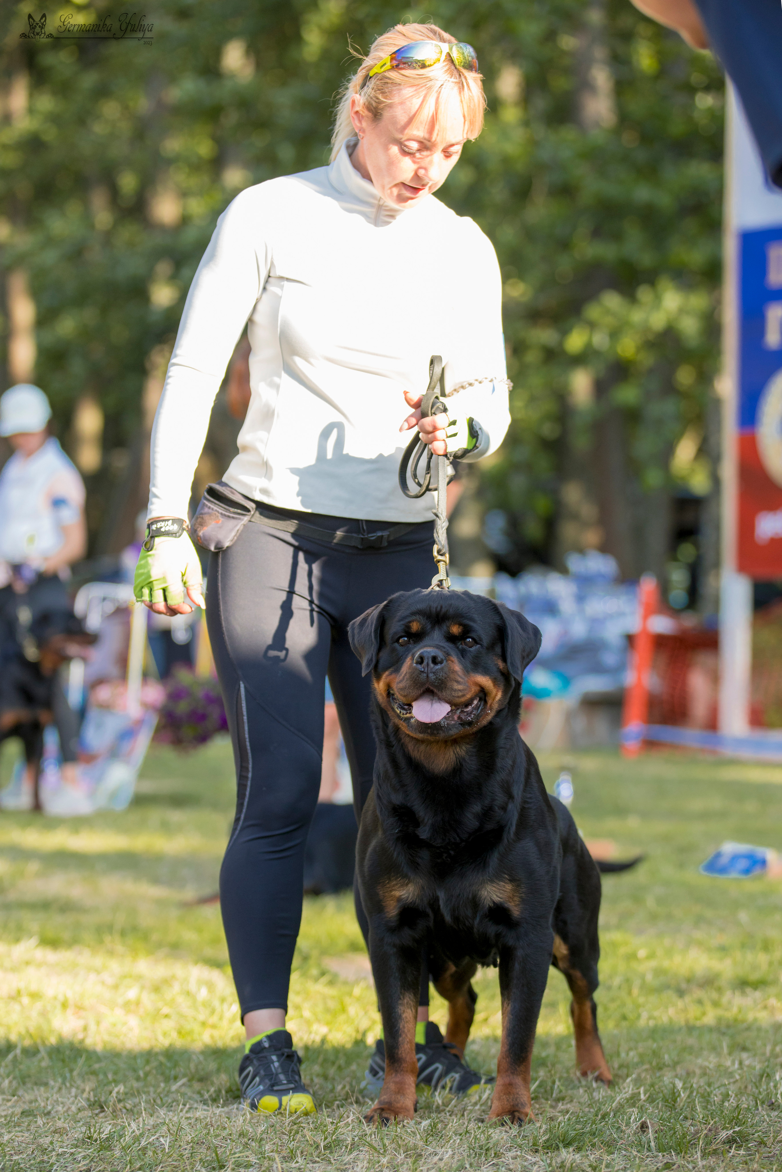 ПК и КЧК ротвейлеров Питер 22-23.07.2023. Фотограф-анималист Юлия Германика