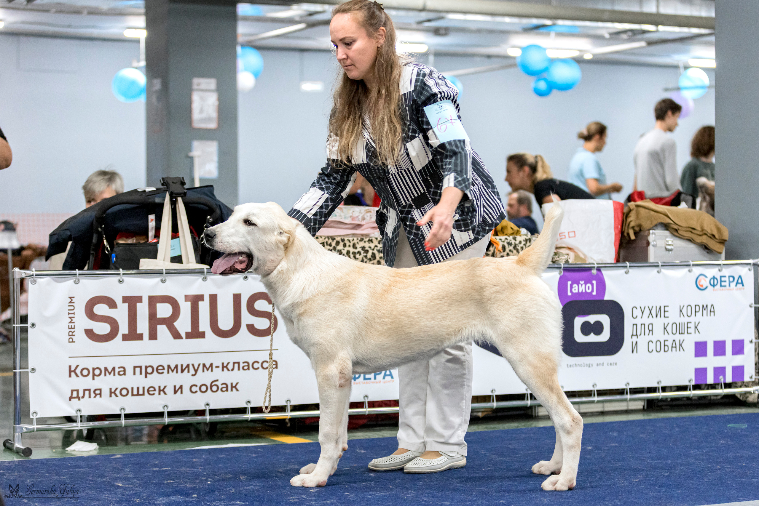 Сфера-Ховрино 29-30.07.2023. Фотограф-анималист Юлия Германика