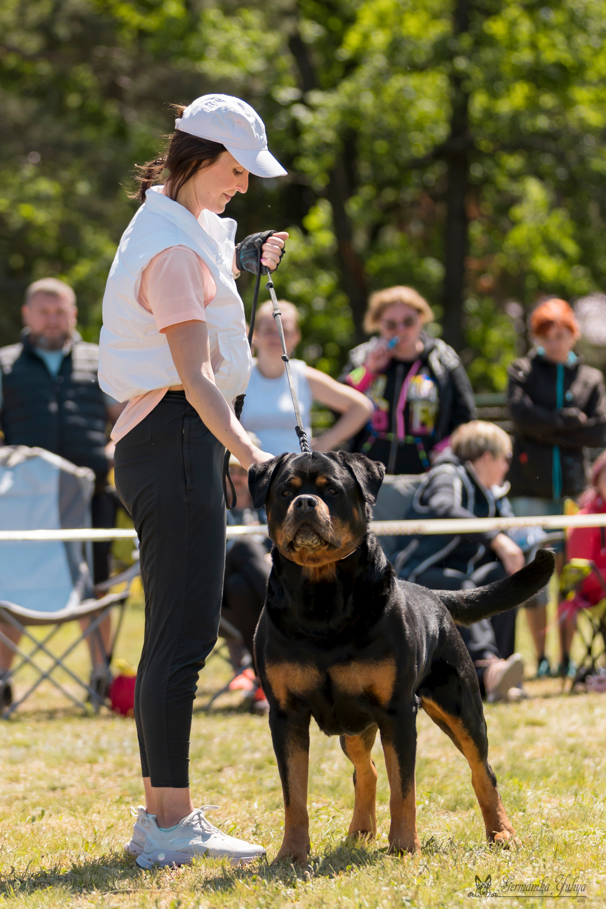 Воронеж 2хмоно ротвейлеров 3-4.06.2023. Фотограф-анималист Юлия Германика