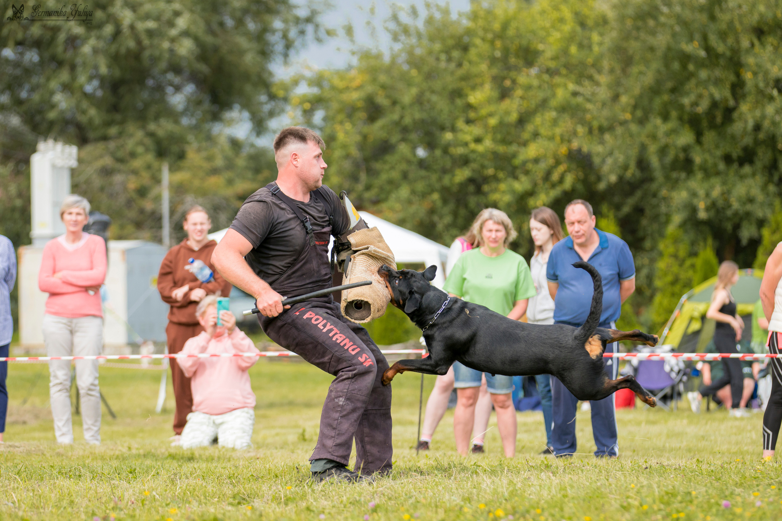 Рязань моно ротвейлеров 12.08.2023. Фотограф-анималист Юлия Германика