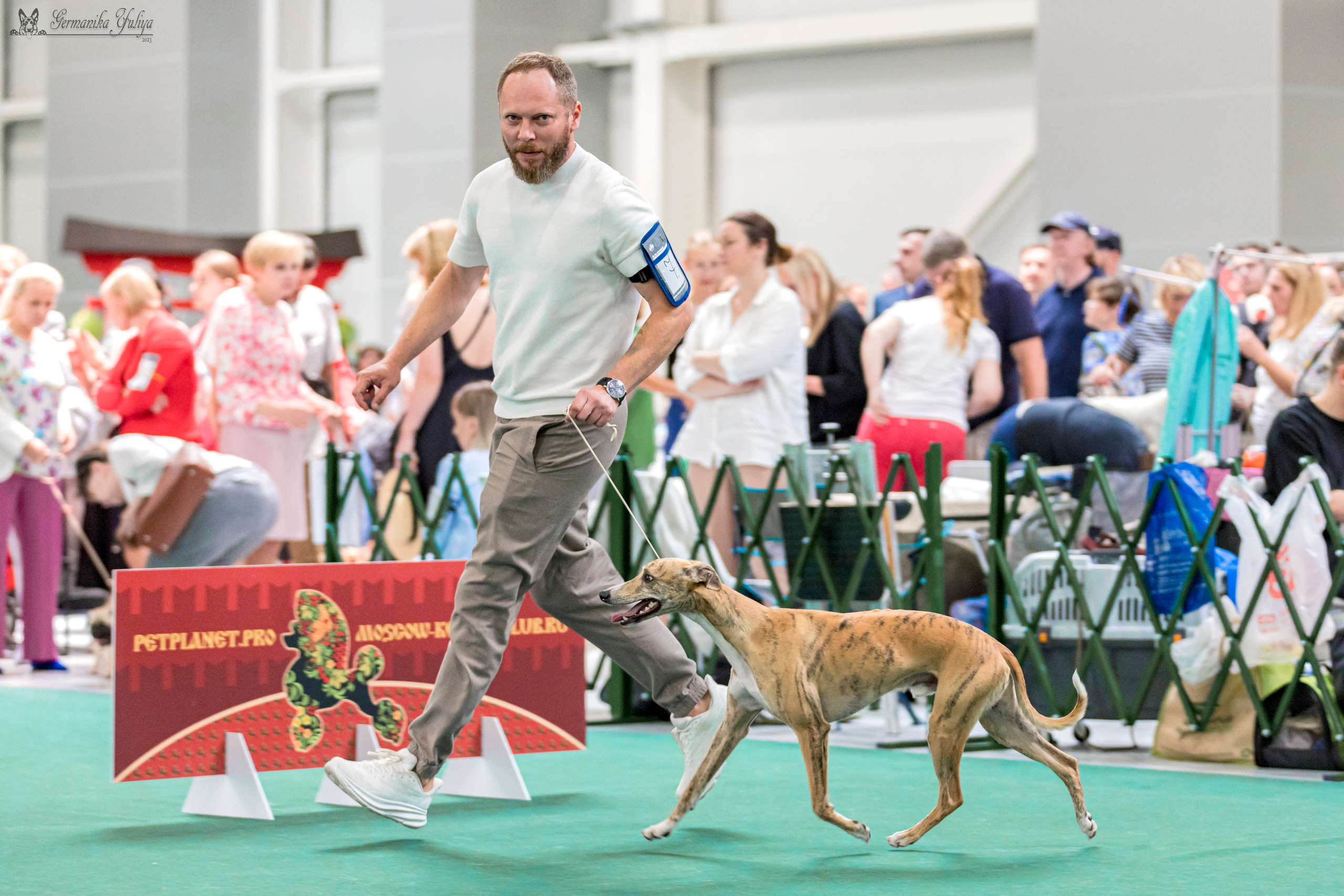 Крокус,Псков 5-6.08.2023. Фотограф-анималист Юлия Германика