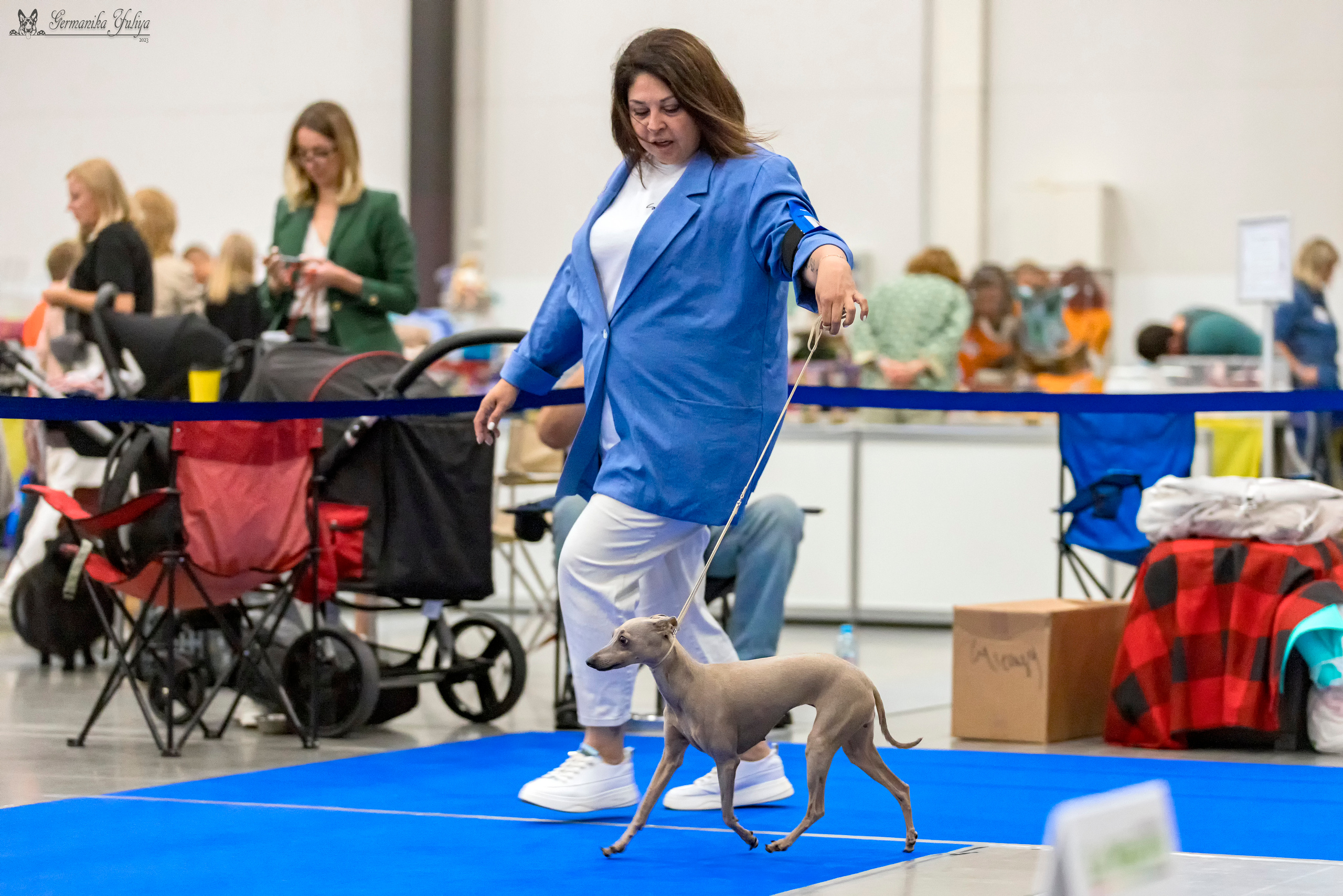 Питер 2-3.09.2023. Фотограф-анималист Юлия Германика