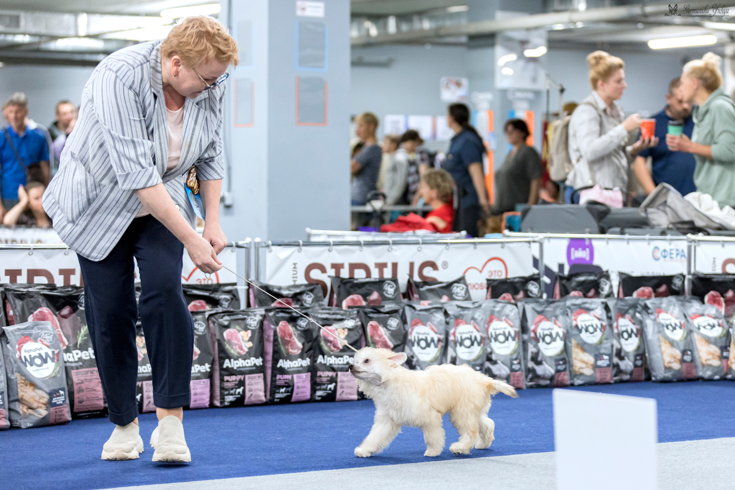 Сфера-Ховрино 29-30.07.2023. Фотограф-анималист Юлия Германика