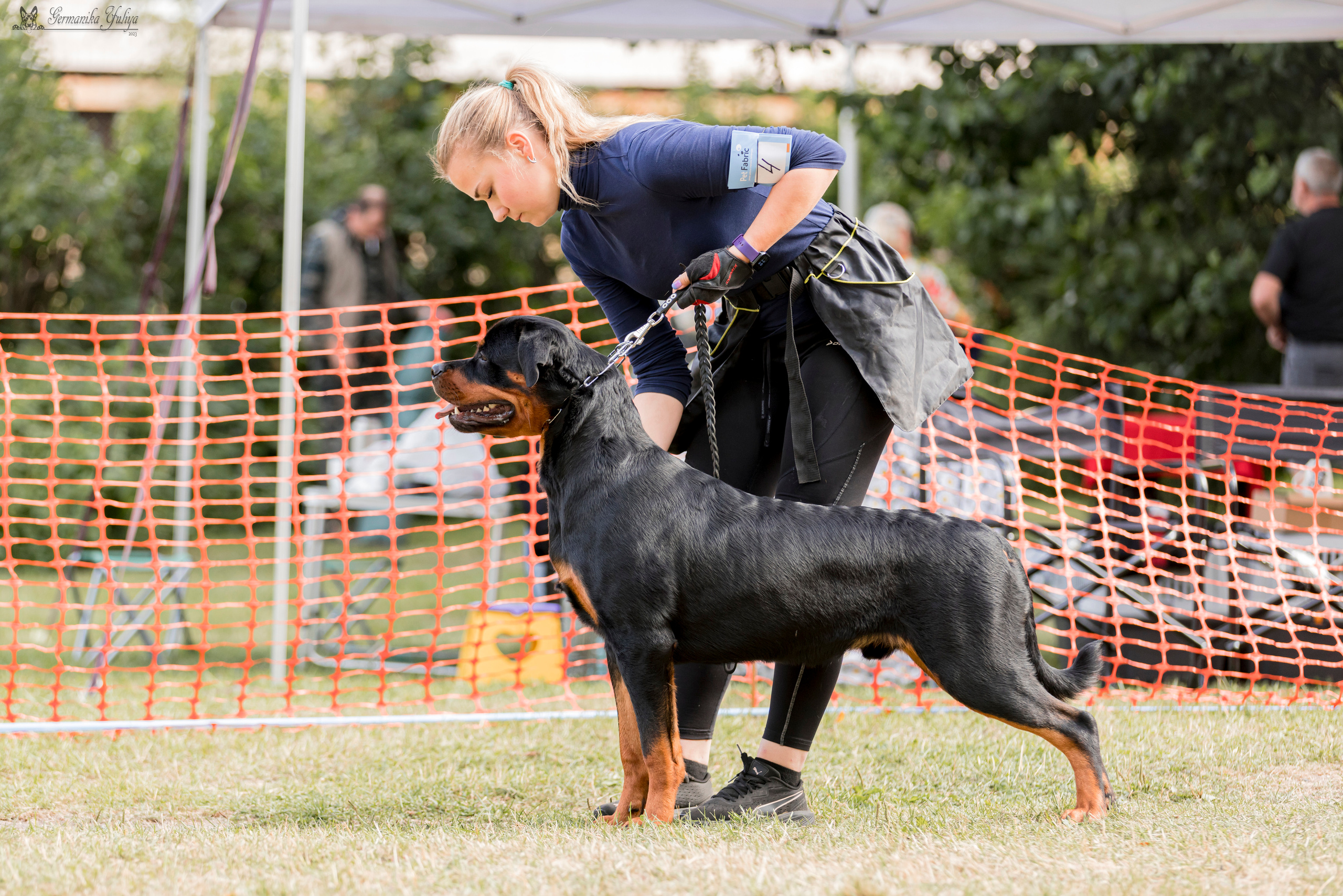 ПК и КЧК ротвейлеров Питер 22-23.07.2023. Фотограф-анималист Юлия Германика