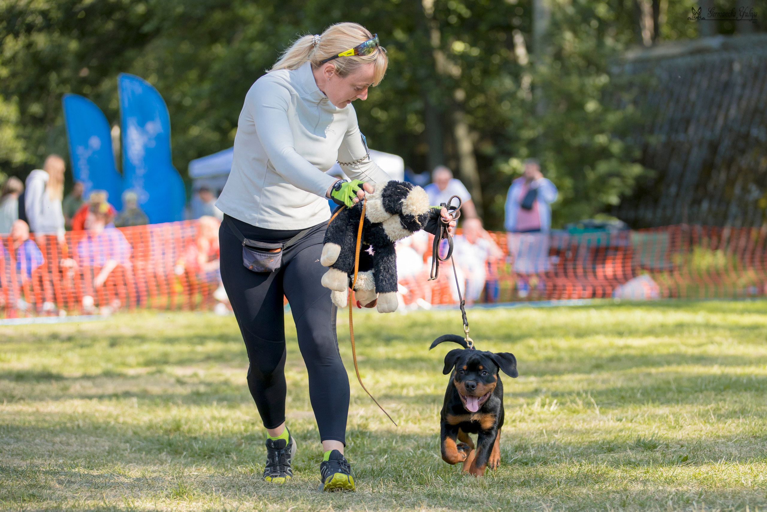ПК и КЧК ротвейлеров Питер 22-23.07.2023. Фотограф-анималист Юлия Германика