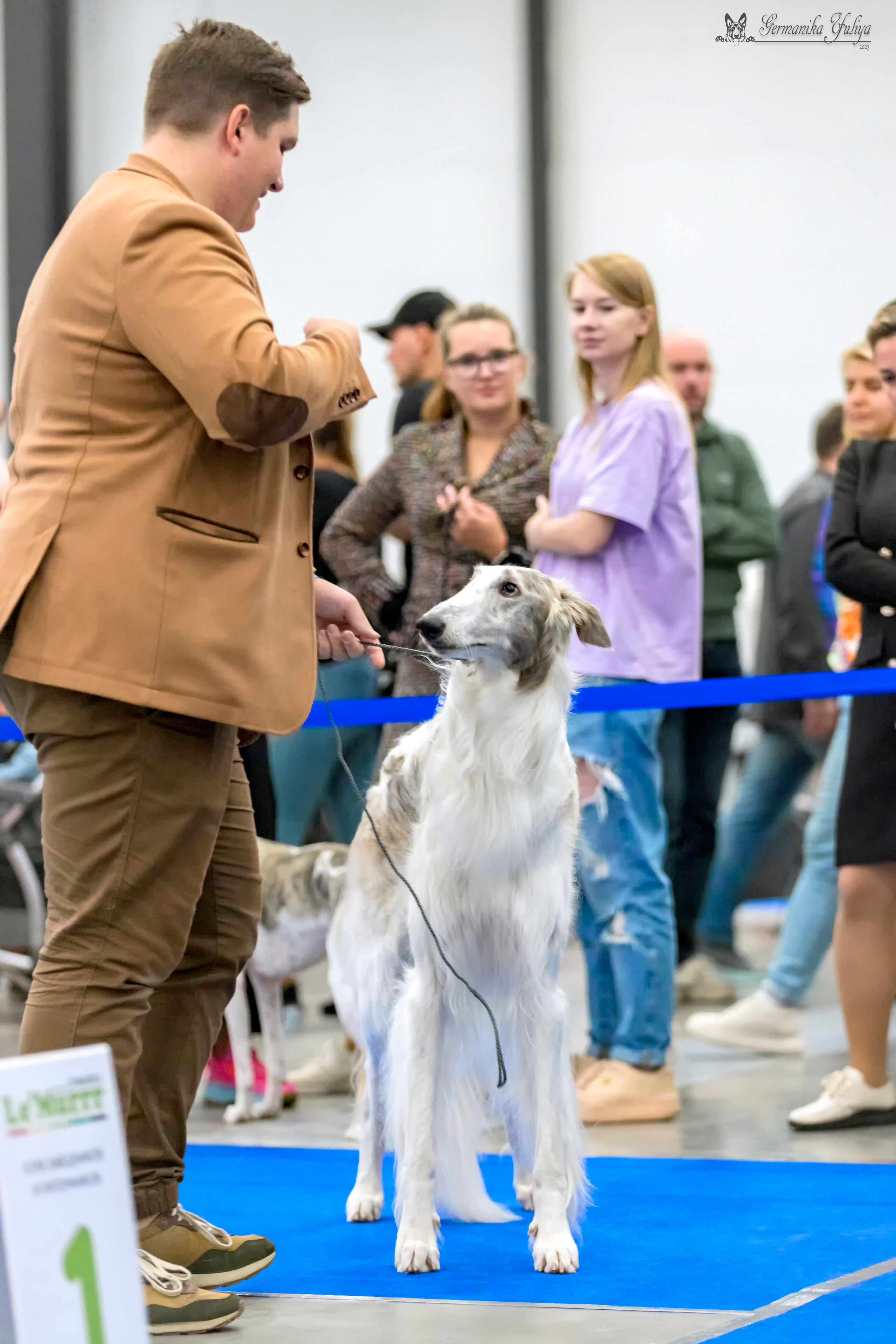 Питер 2-3.09.2023. Фотограф-анималист Юлия Германика