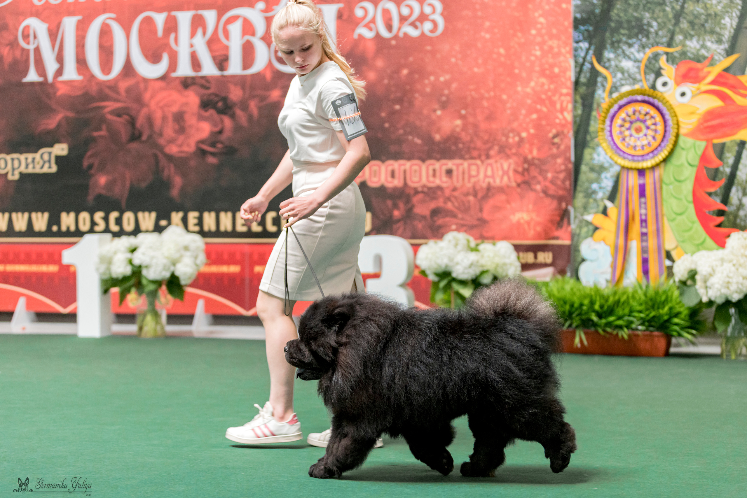 Крокус,Псков 5-6.08.2023. Фотограф-анималист Юлия Германика