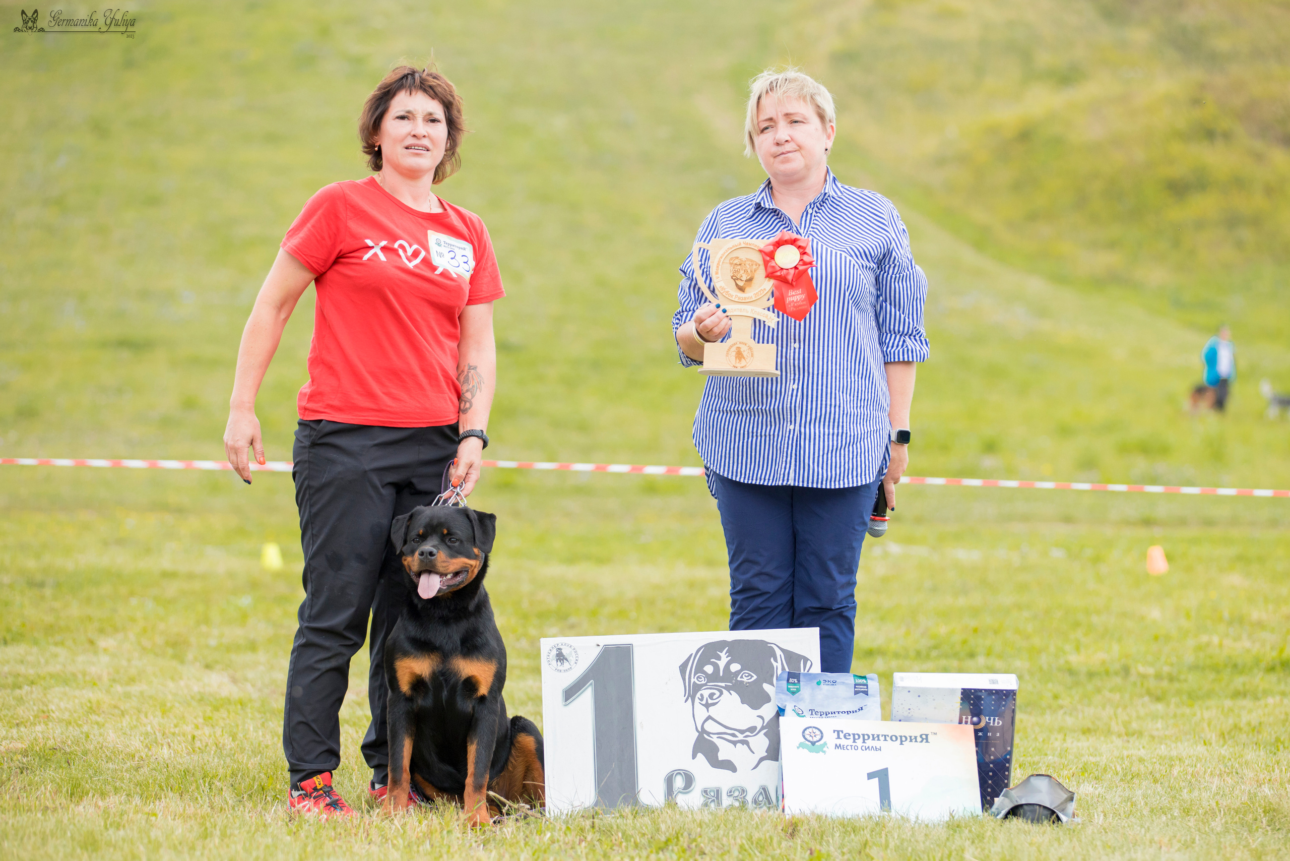 Рязань моно ротвейлеров 12.08.2023. Фотограф-анималист Юлия Германика