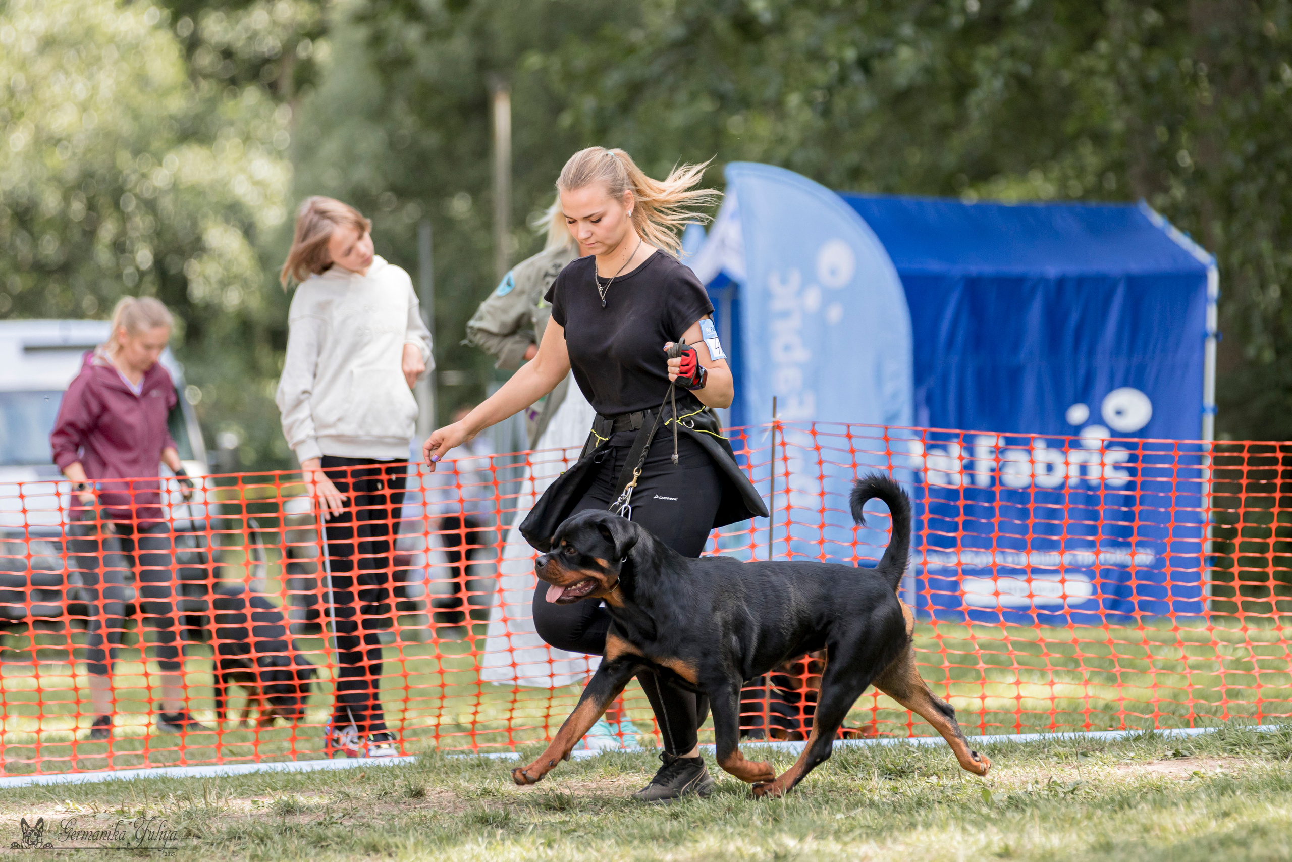 ПК и КЧК ротвейлеров Питер 22-23.07.2023. Фотограф-анималист Юлия Германика