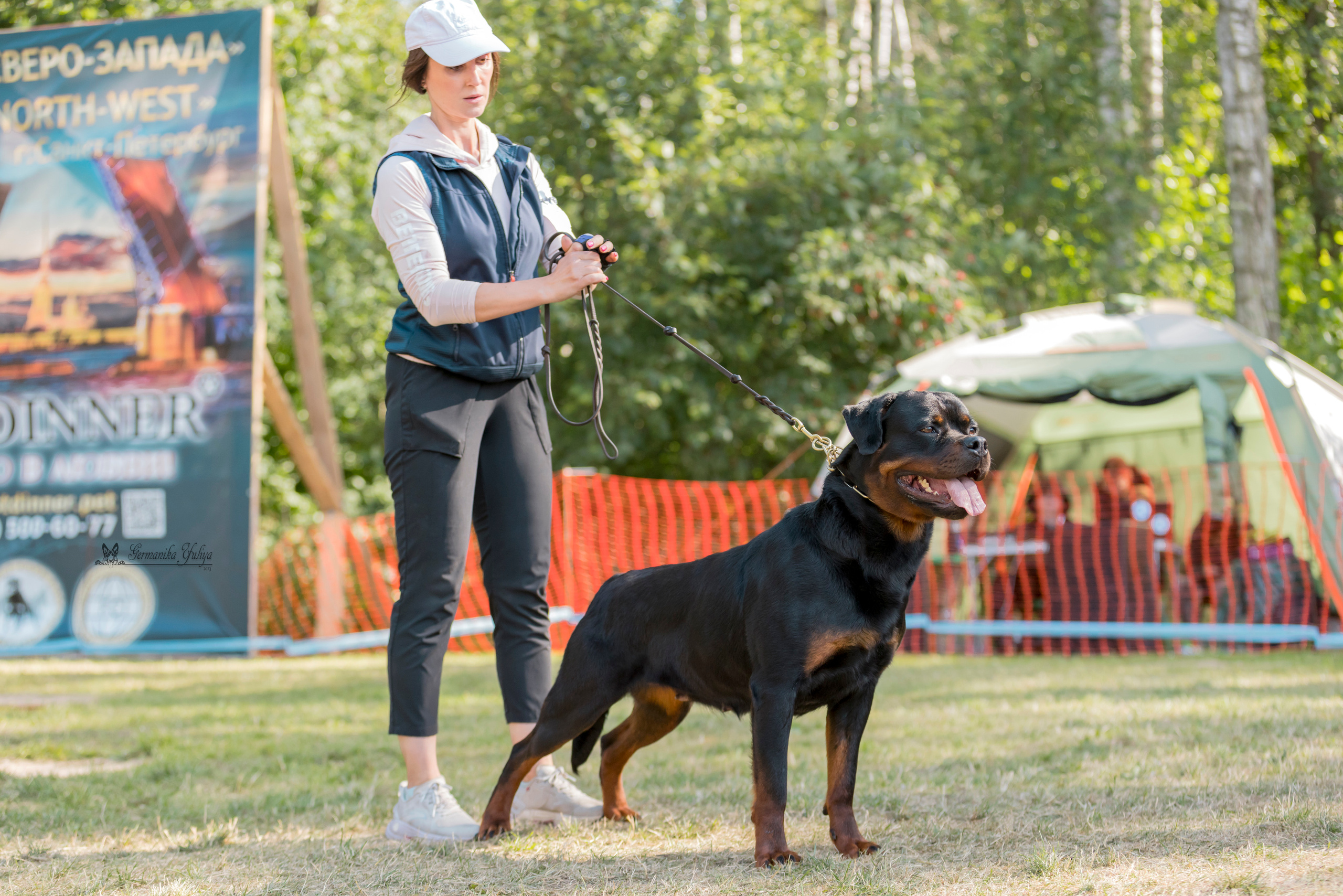 ПК и КЧК ротвейлеров Питер 22-23.07.2023. Фотограф-анималист Юлия Германика