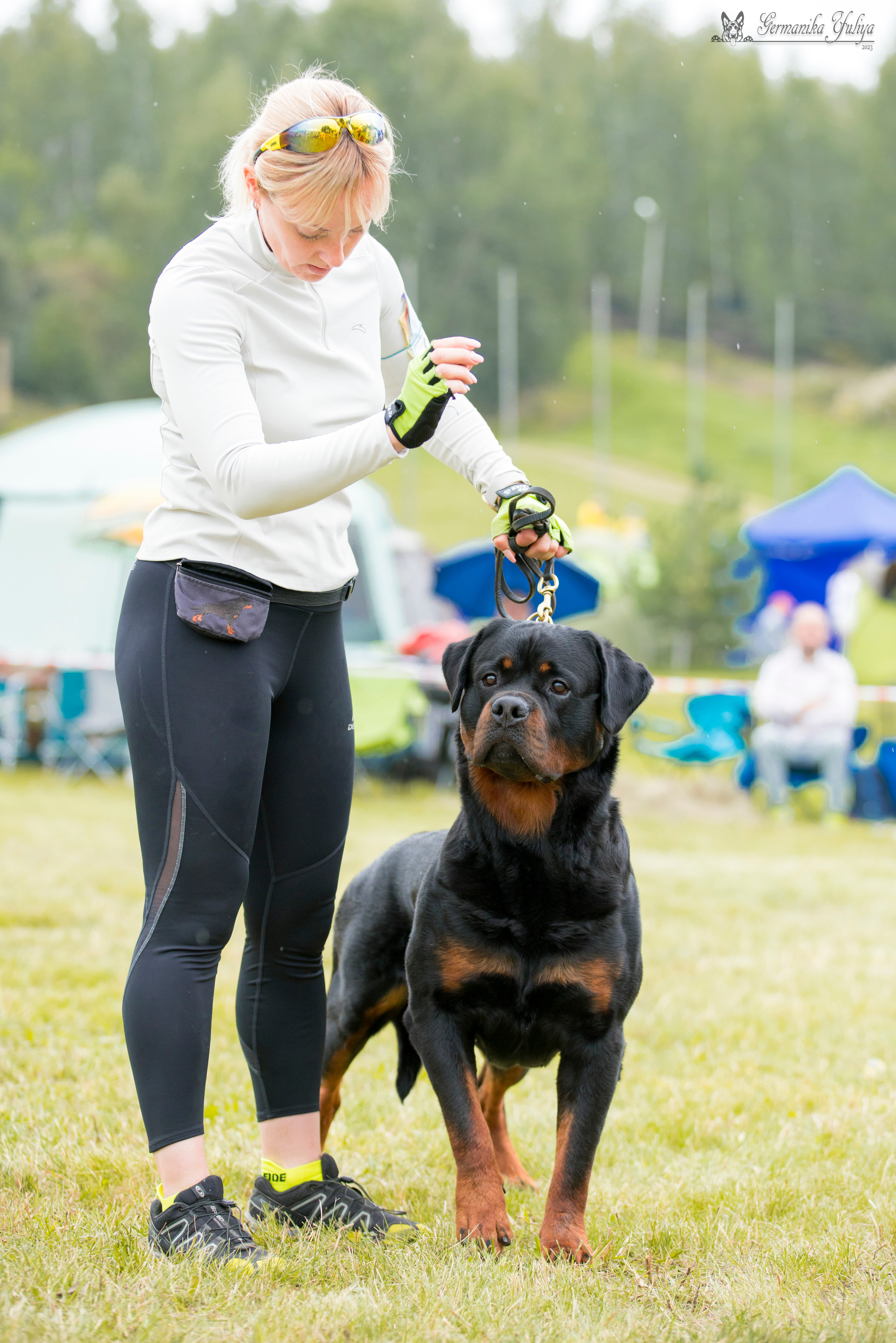 Рязань моно ротвейлеров 12.08.2023. Фотограф-анималист Юлия Германика