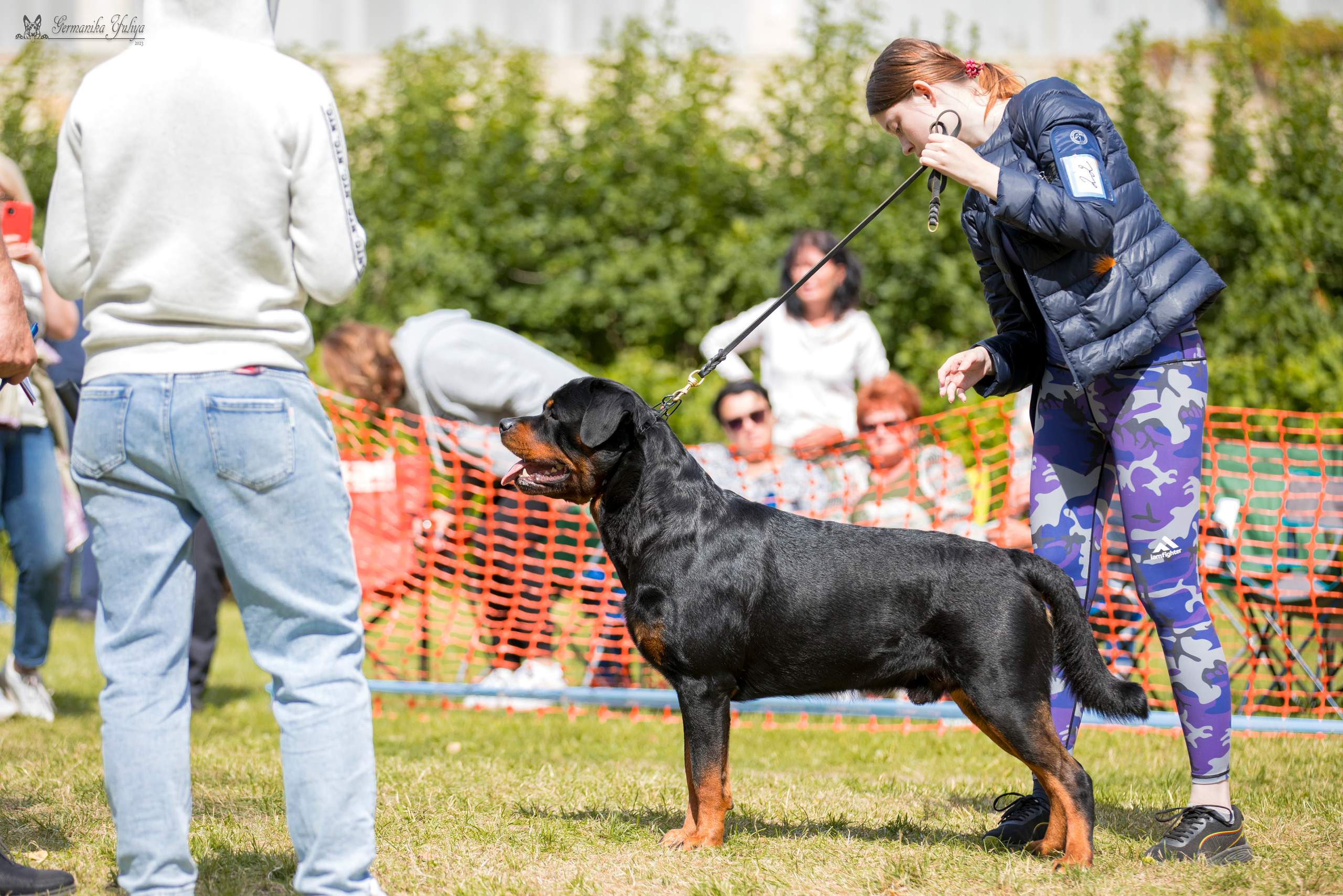 ПК и КЧК ротвейлеров Питер 22-23.07.2023. Фотограф-анималист Юлия Германика