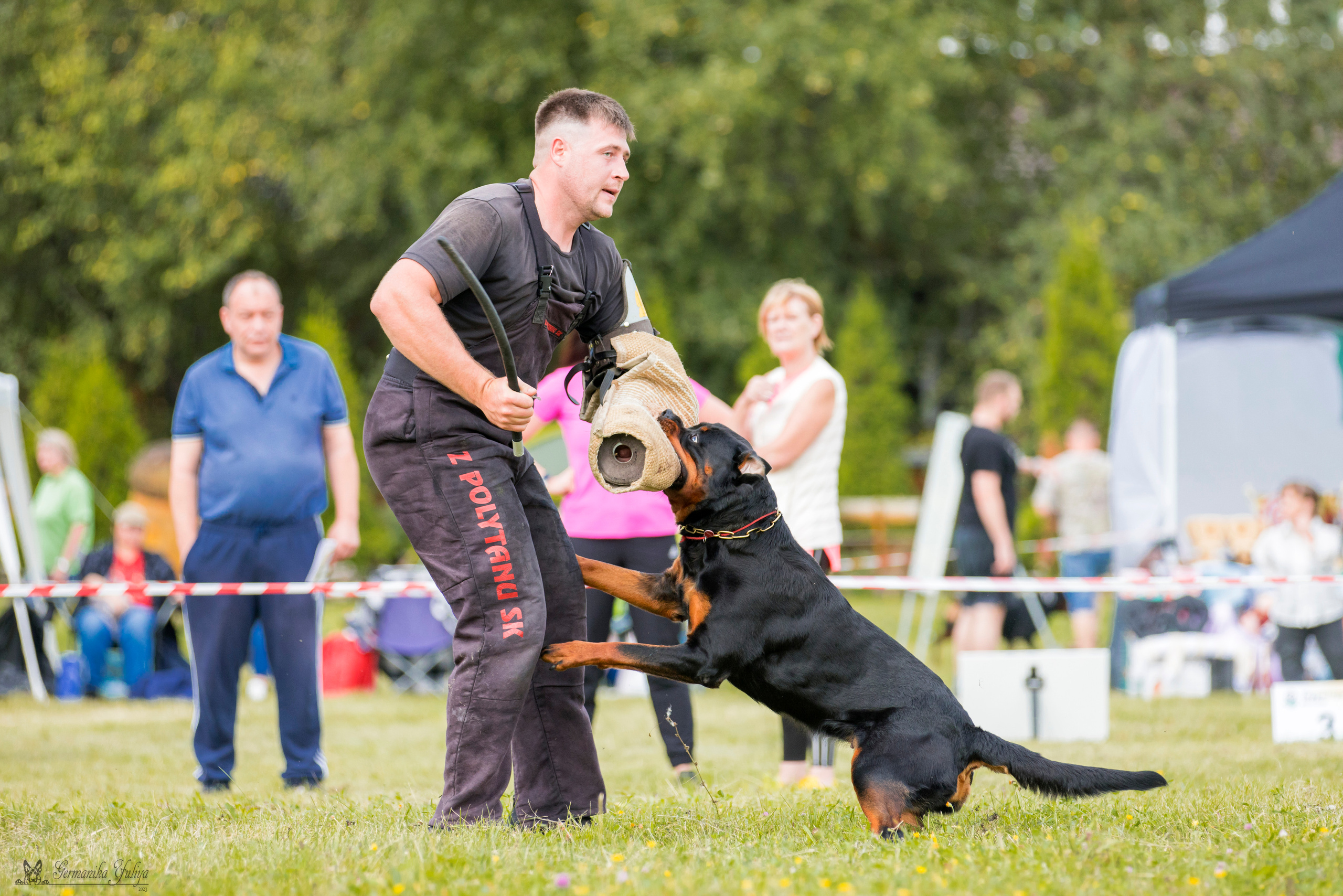 Рязань моно ротвейлеров 12.08.2023. Фотограф-анималист Юлия Германика